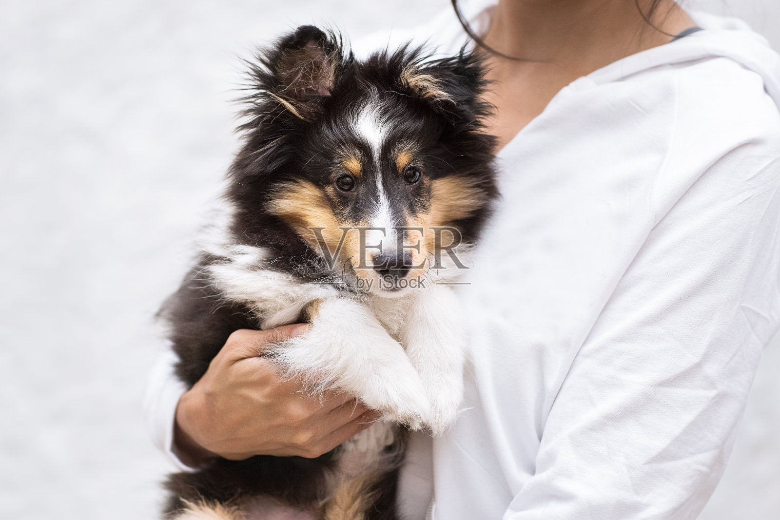 早恋照片摄影图片