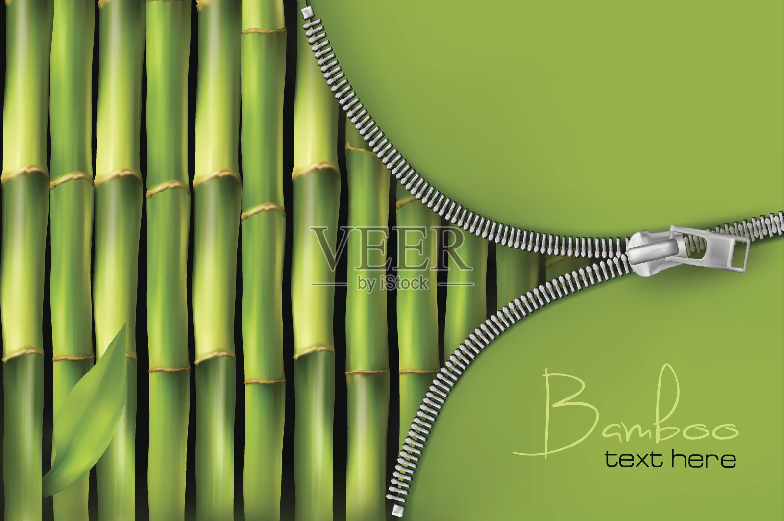 竹子插画图片素材