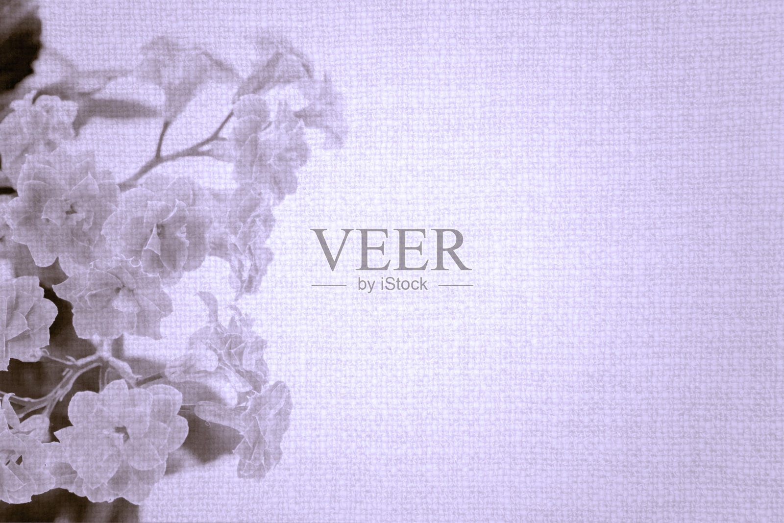 旧紫罗兰布上的香色卡兰桂植物花朵照片摄影图片