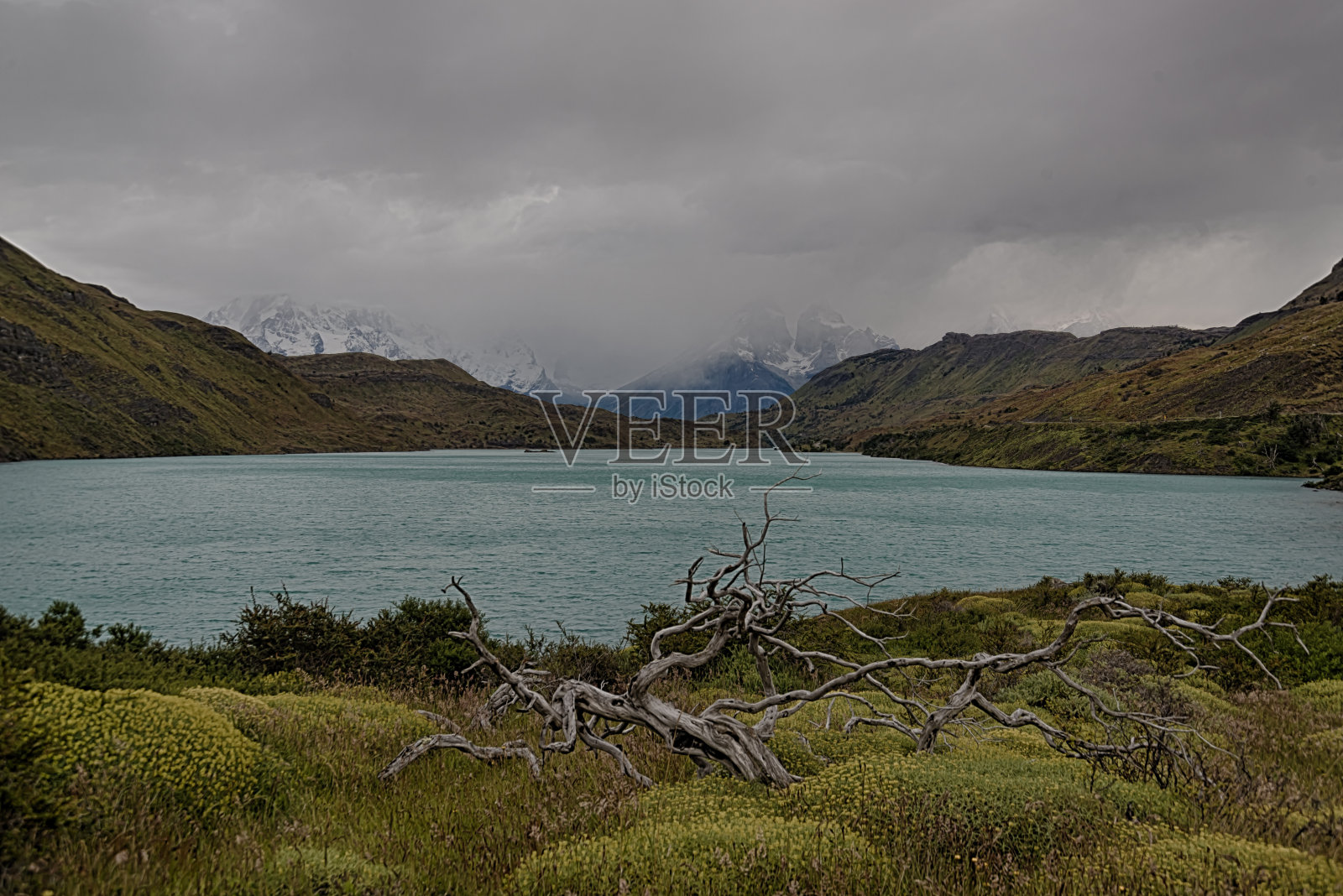 巴塔哥尼亚,南美洲。照片摄影图片
