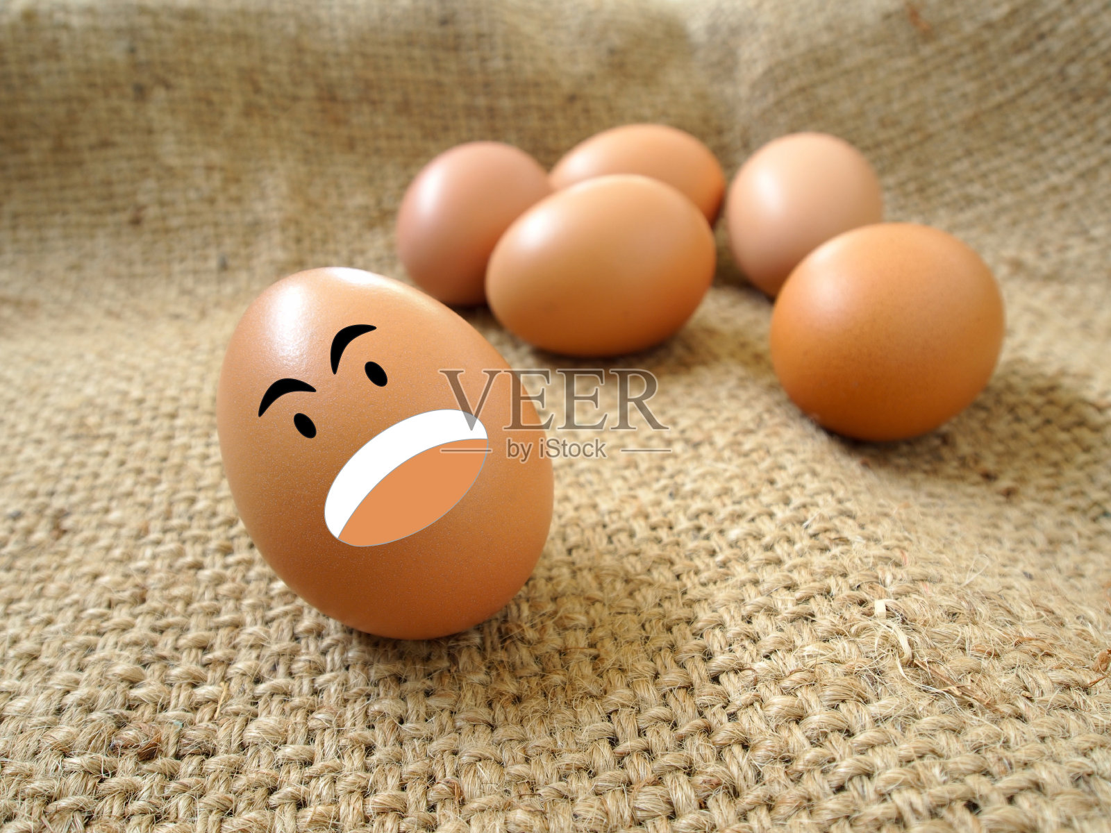 蛋照片摄影图片