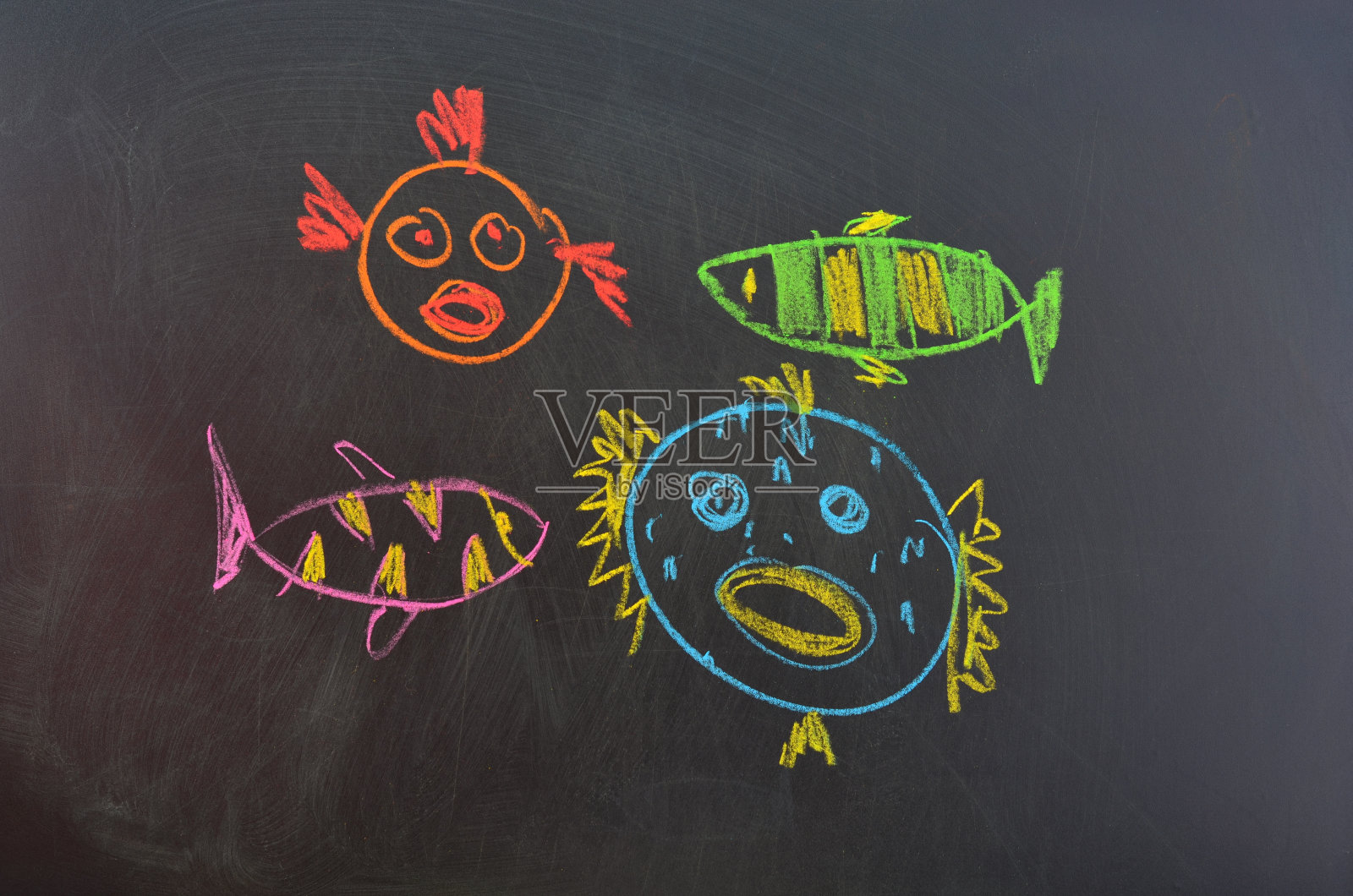 海里的鱼。照片摄影图片