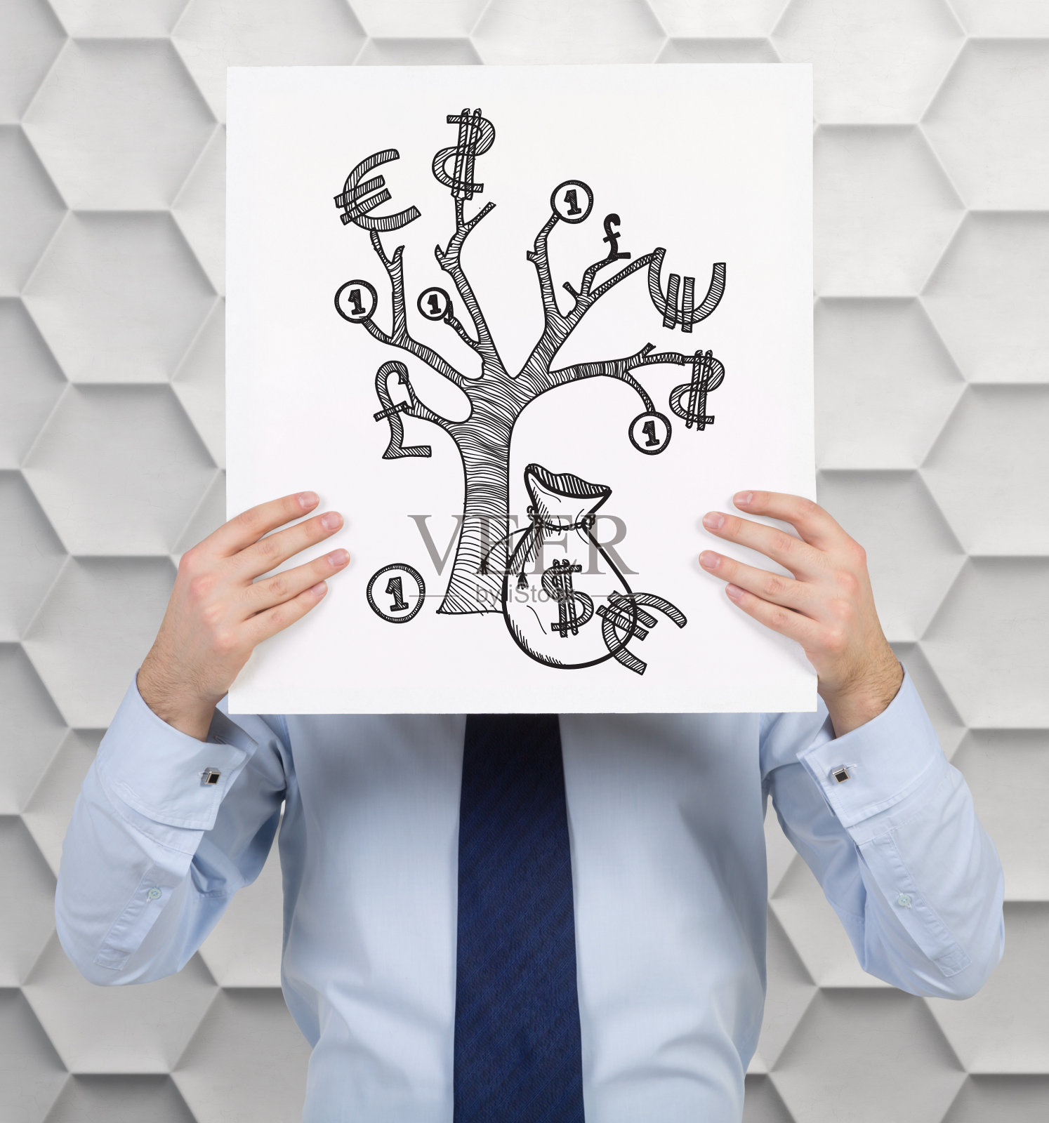 金钱树照片摄影图片