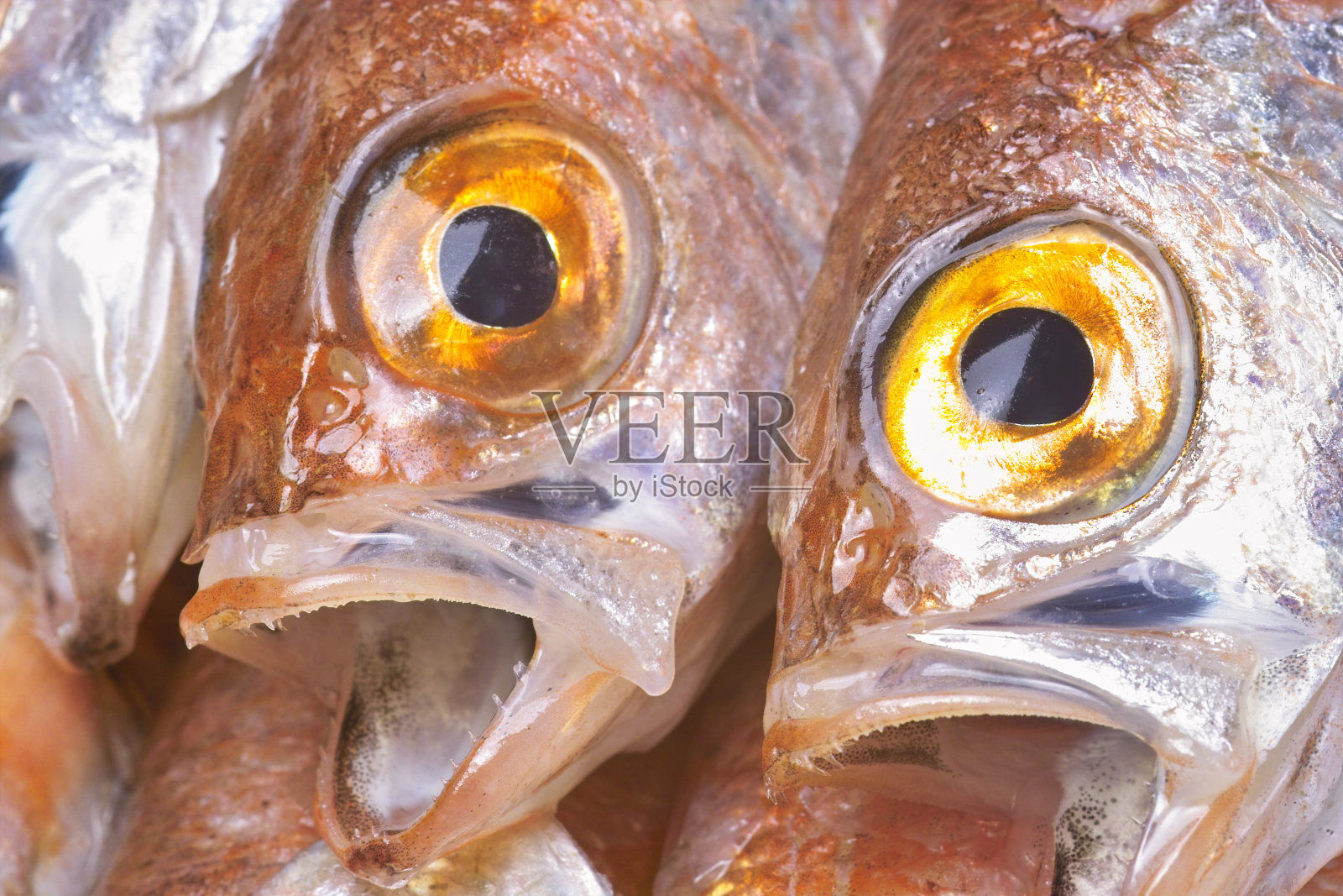 不是的照片摄影图片