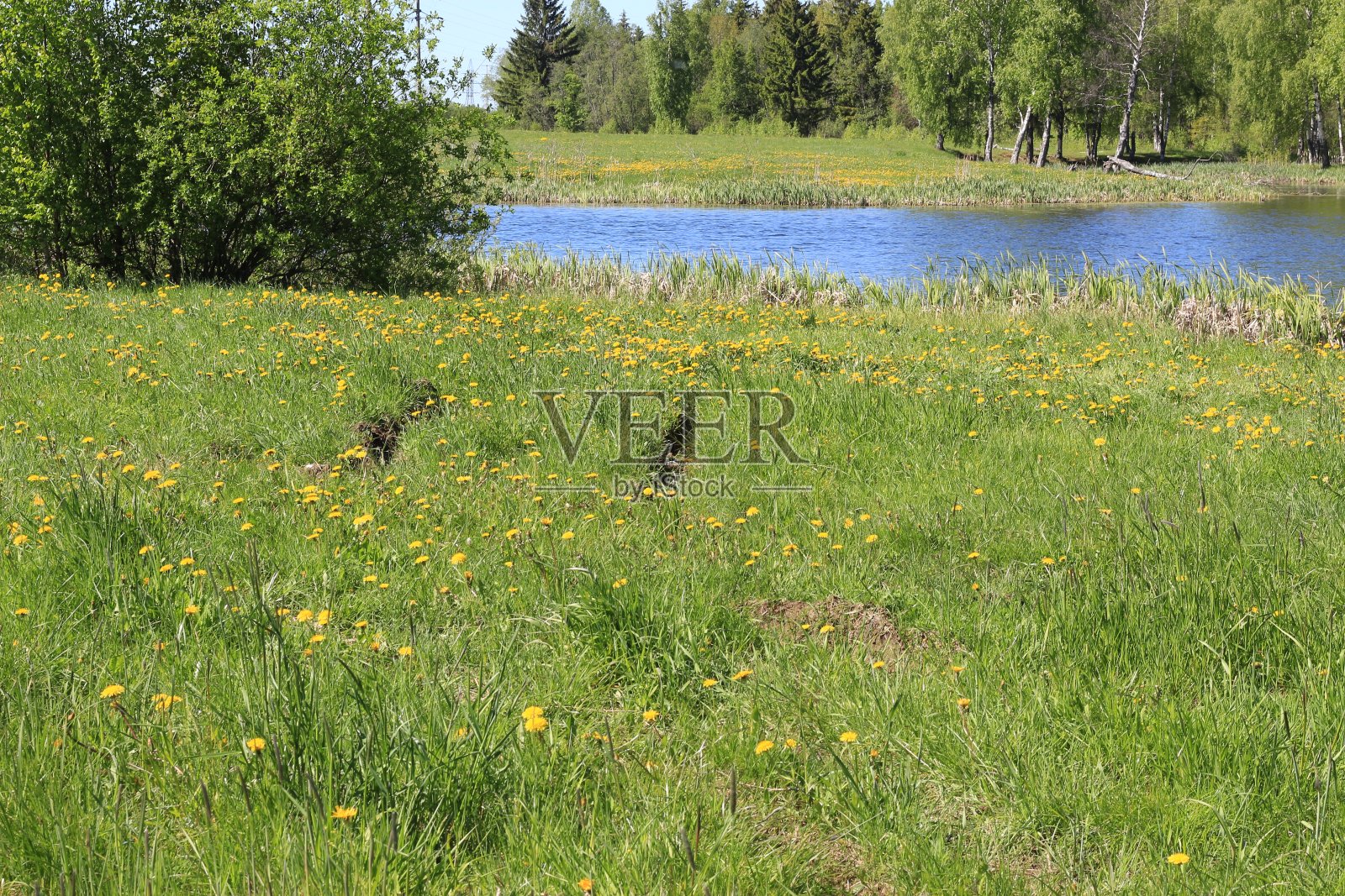 农村景观照片摄影图片