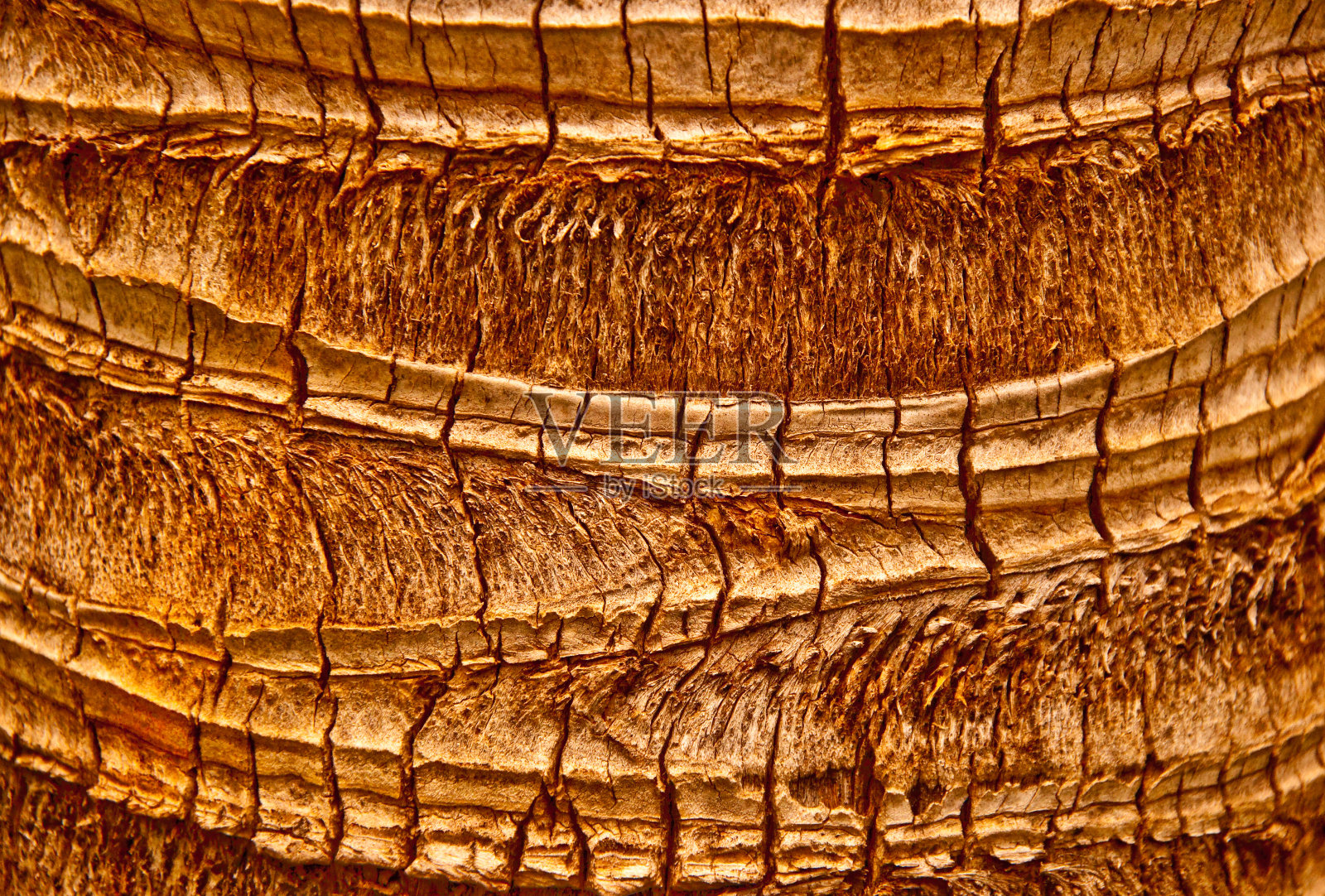 木头的纹理照片摄影图片