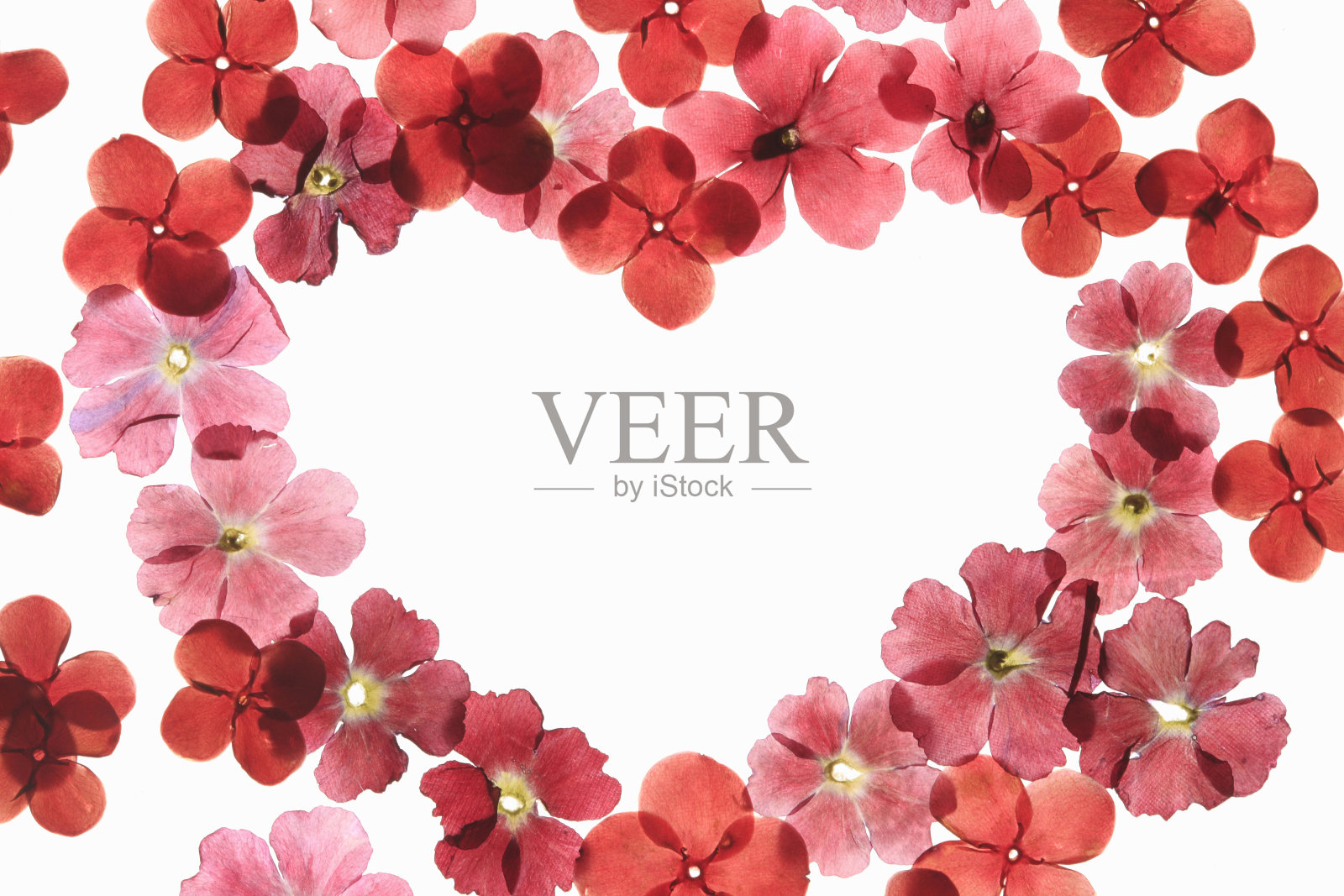 按花(符号)照片摄影图片