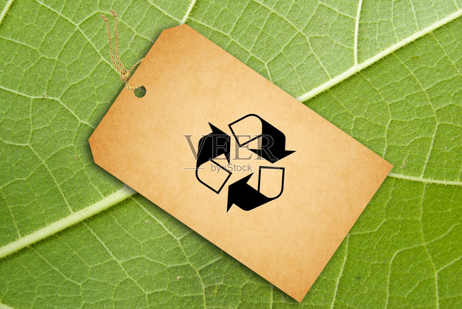 以绿叶为背景的销售标签照片摄影图片