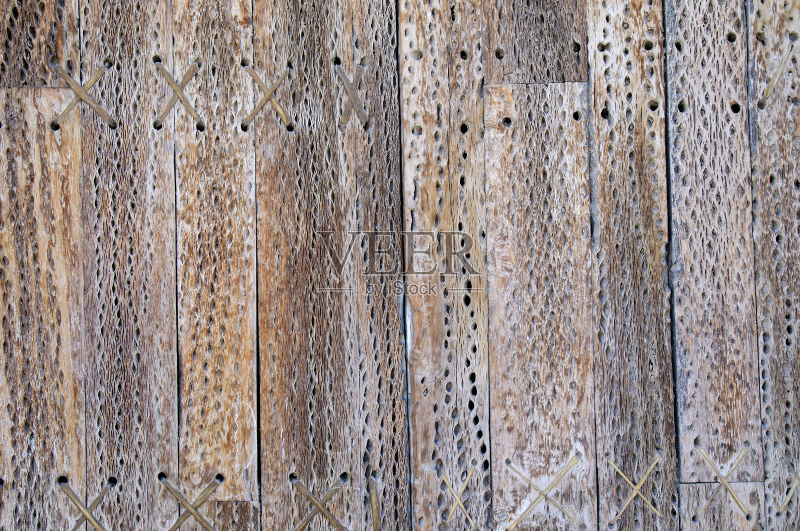 门的细节Catus照片摄影图片