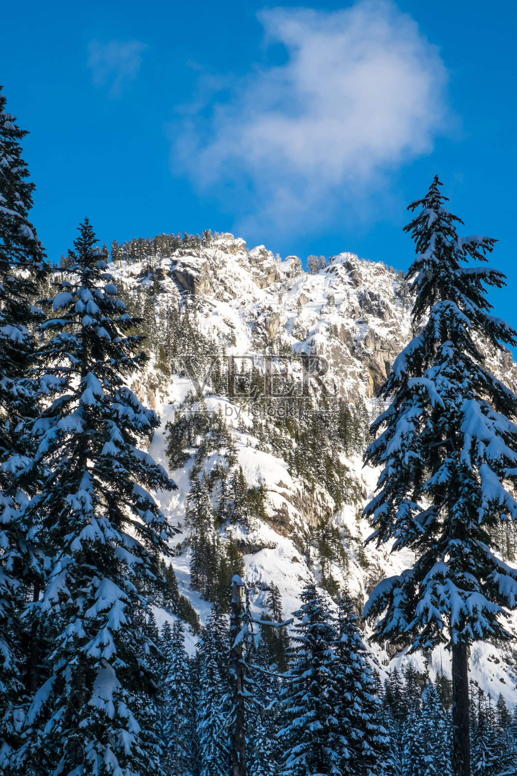冬天的雪景照片摄影图片