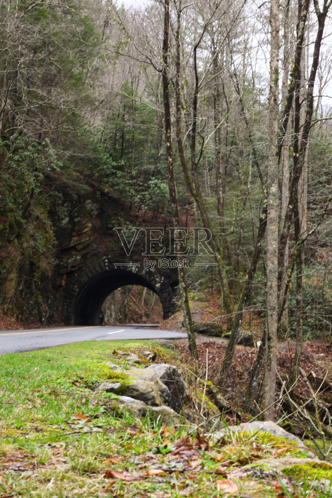 隧道下的一座山旁边的小溪照片摄影图片