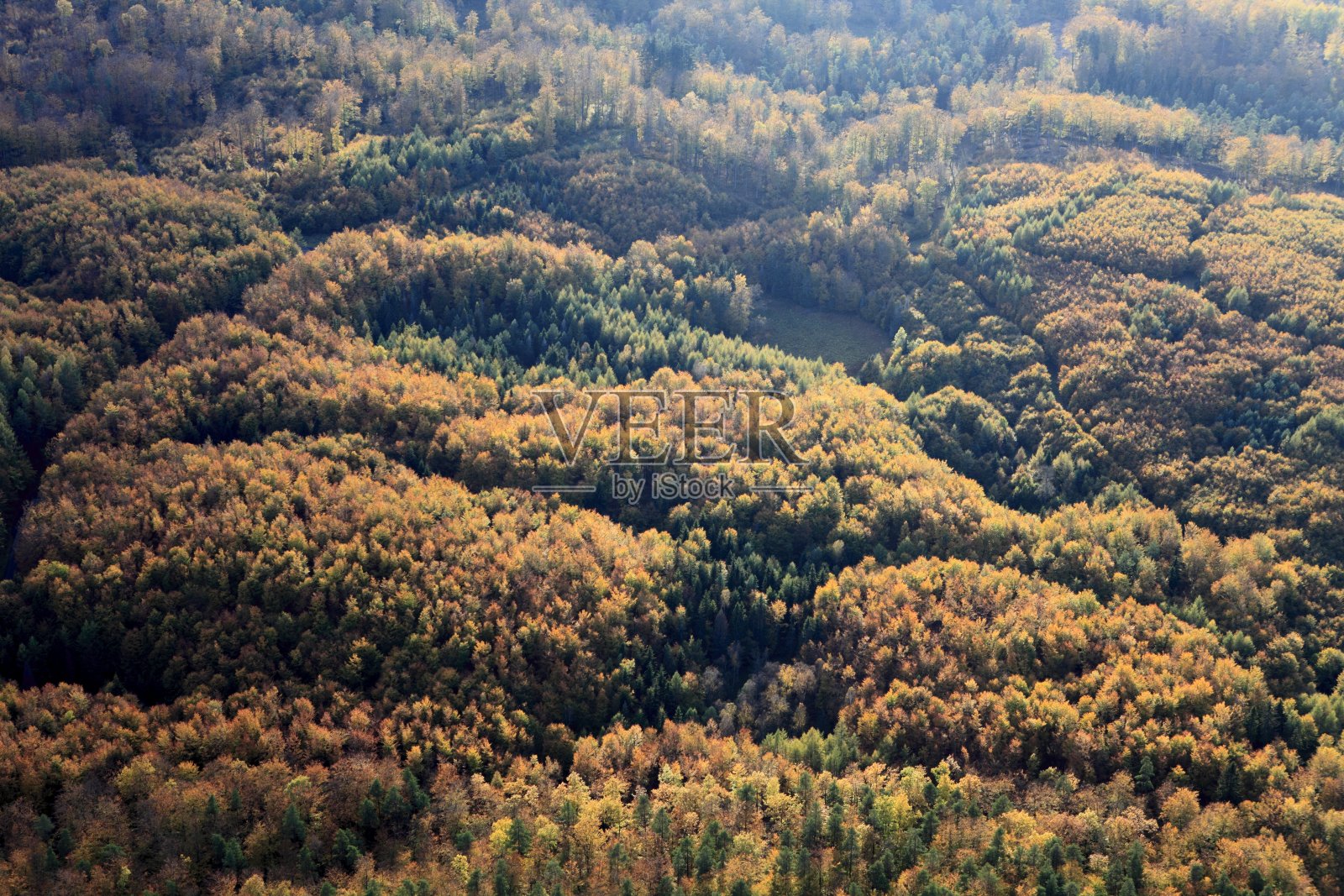 秋天森林的航拍照片照片摄影图片
