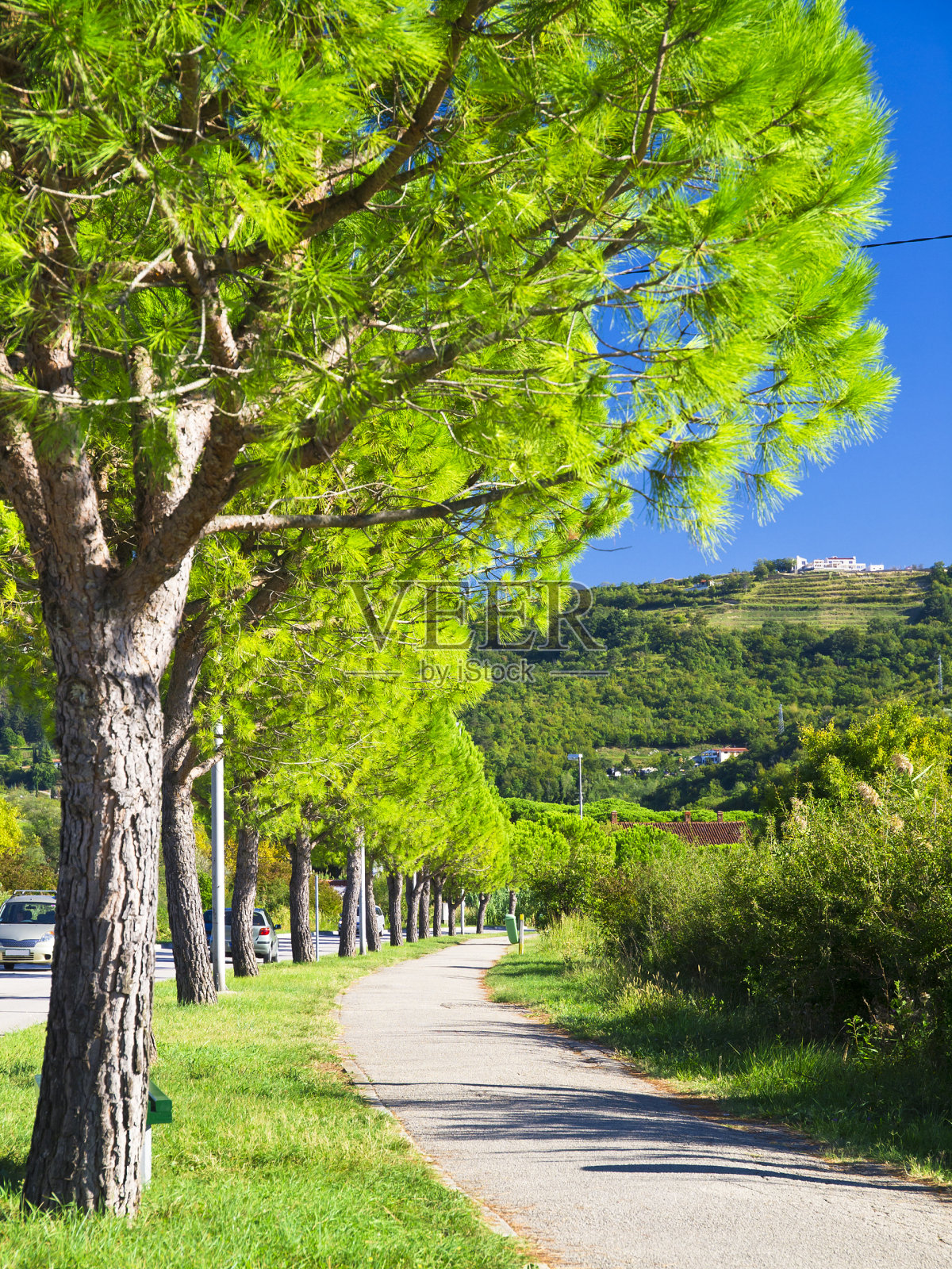 斯特伦詹路径照片摄影图片