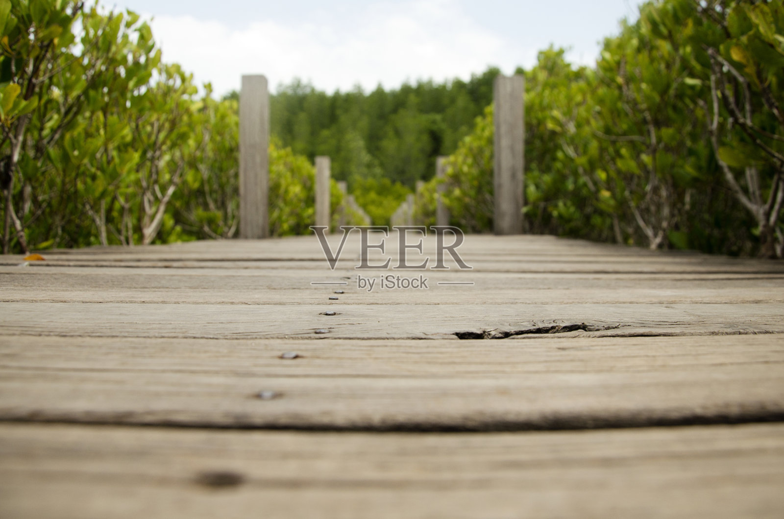 木制长桥通道供人们和游客参观照片摄影图片