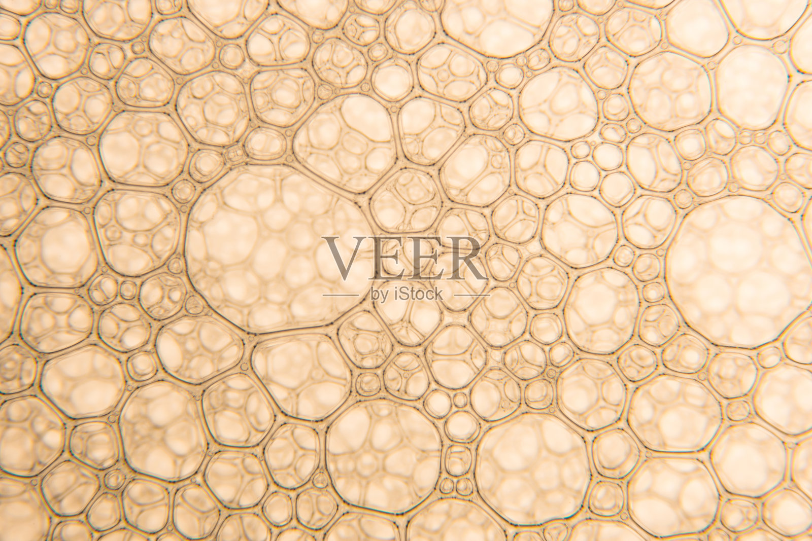 香槟金泡沫照片摄影图片