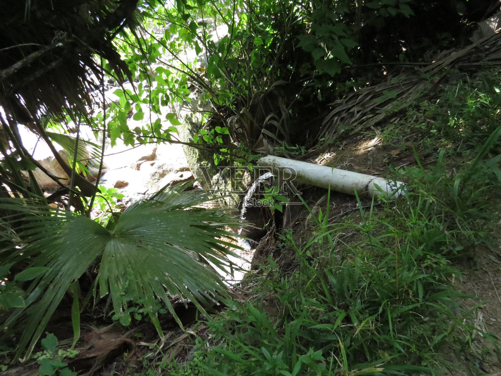 博内特之路照片摄影图片