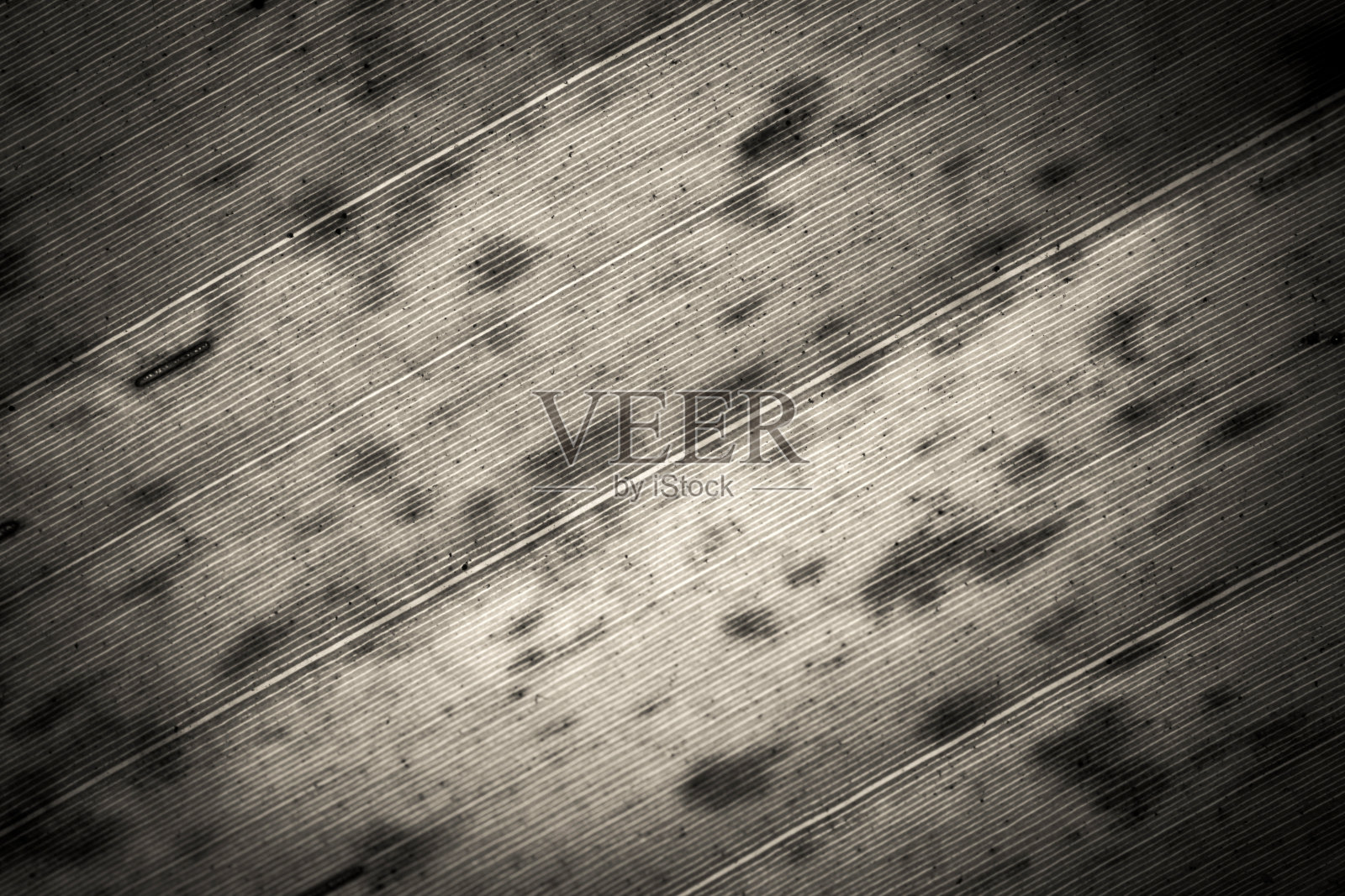 特写老香蕉叶背景与黑白效果照片摄影图片