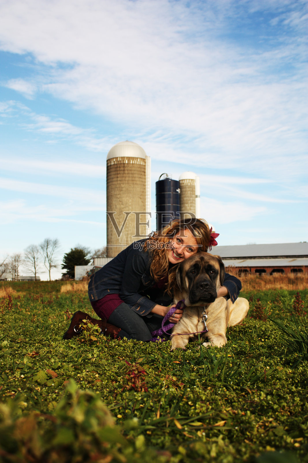农场里的女孩和她的狗照片摄影图片