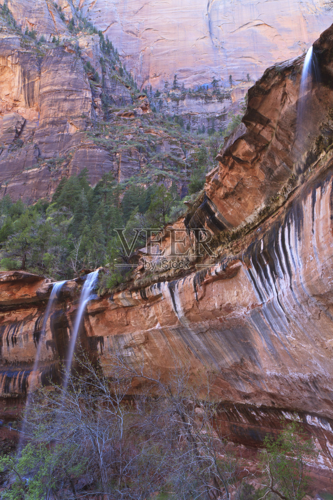 锡安赤壁悬垂照片摄影图片