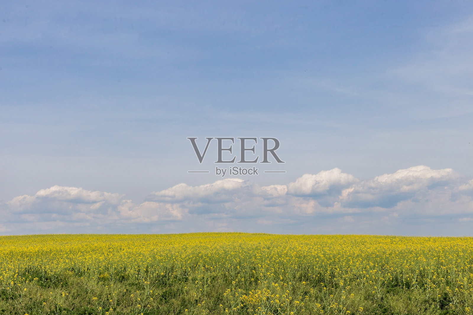 保加利亚农村的农田照片摄影图片