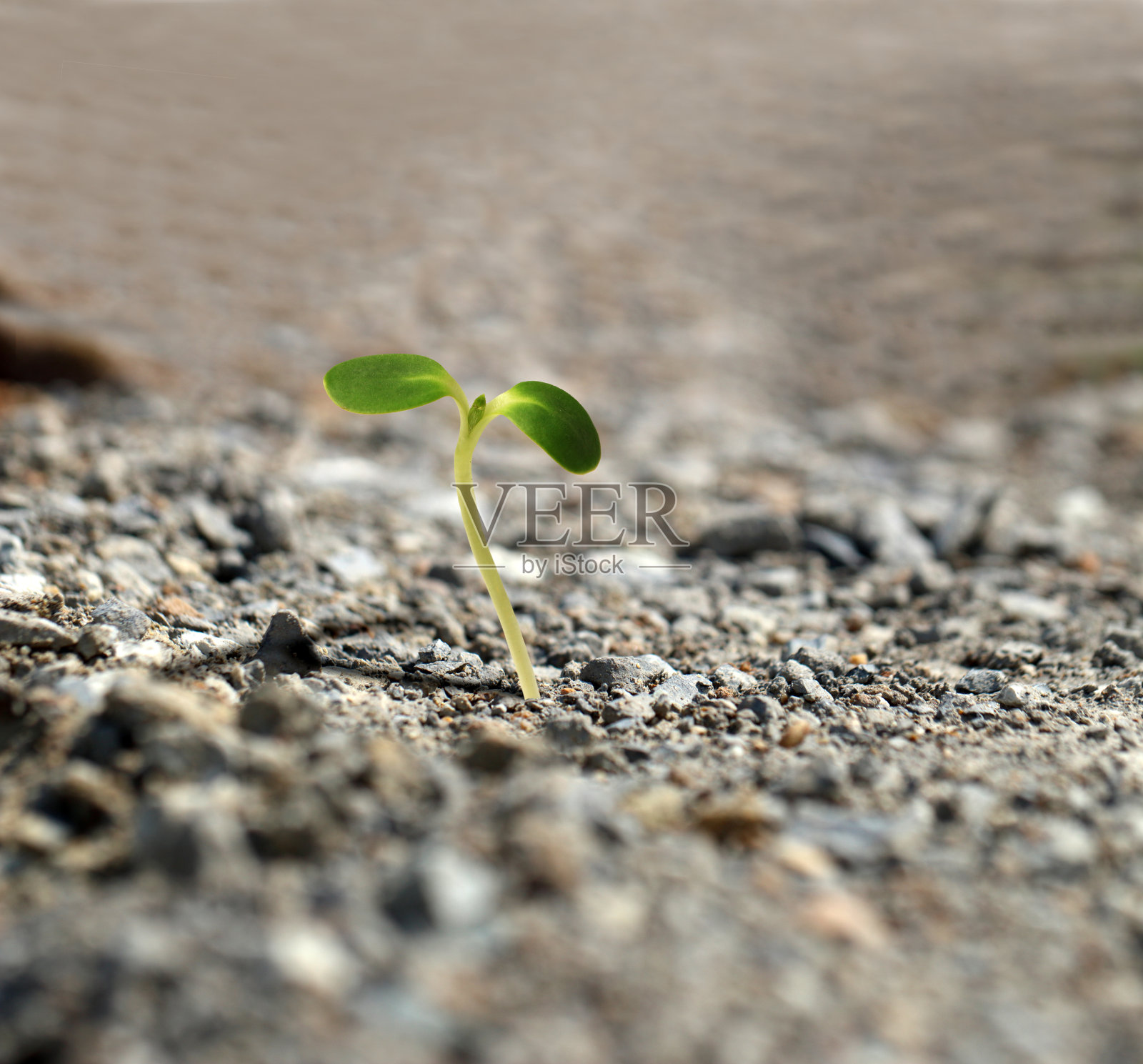 新生活照片摄影图片