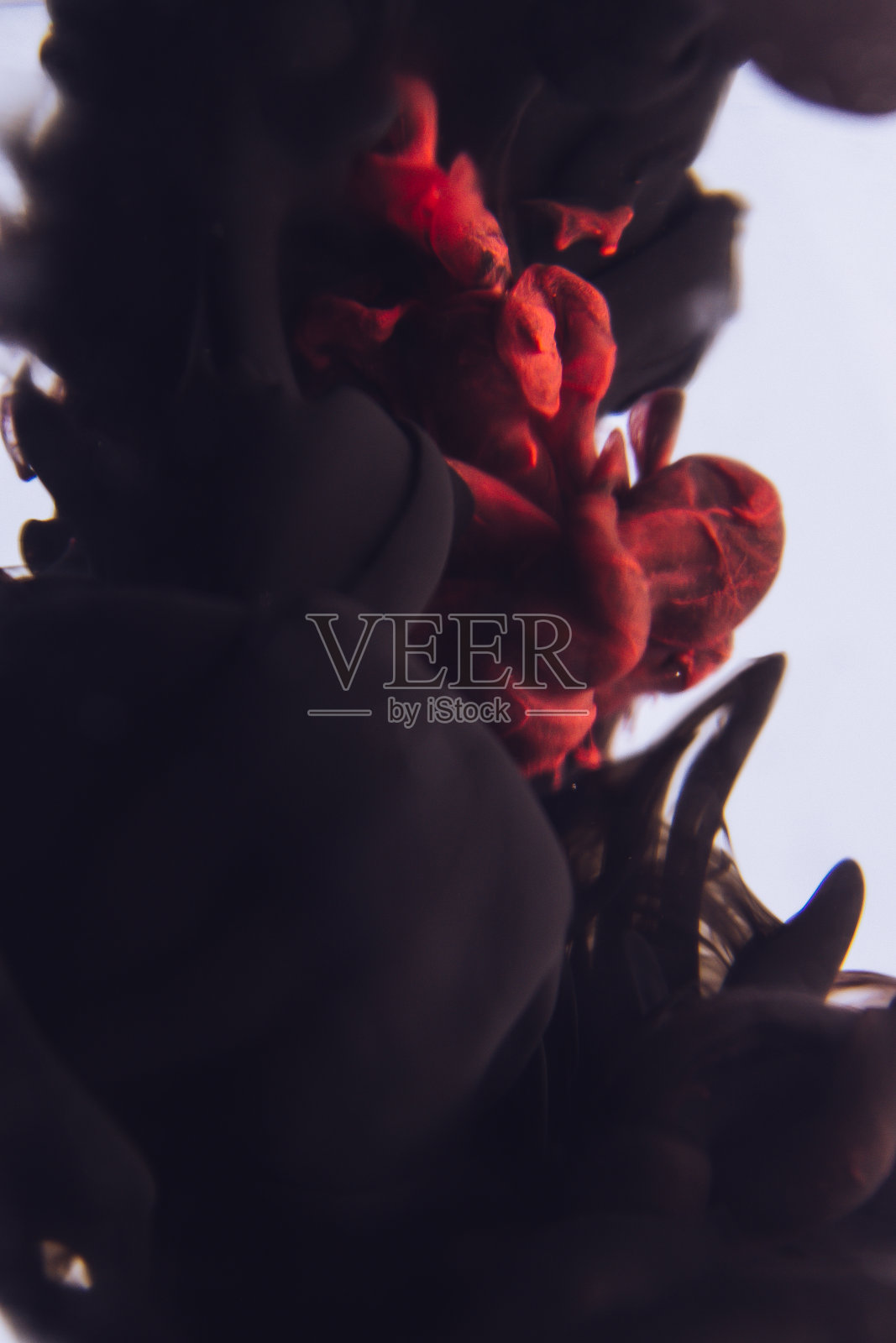 黑色油墨在水里孤立在白色背景上照片摄影图片