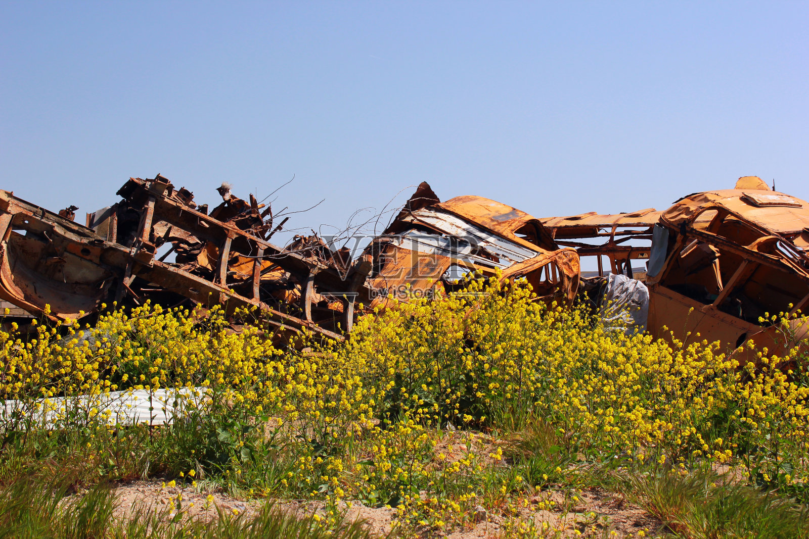废品站的废旧校车照片摄影图片