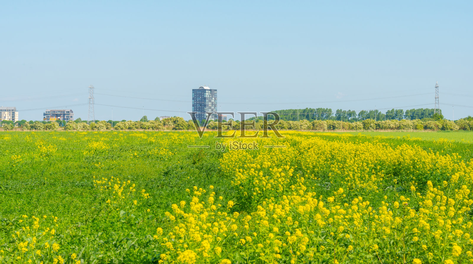 一座座高楼耸立在花圃的地平线上照片摄影图片
