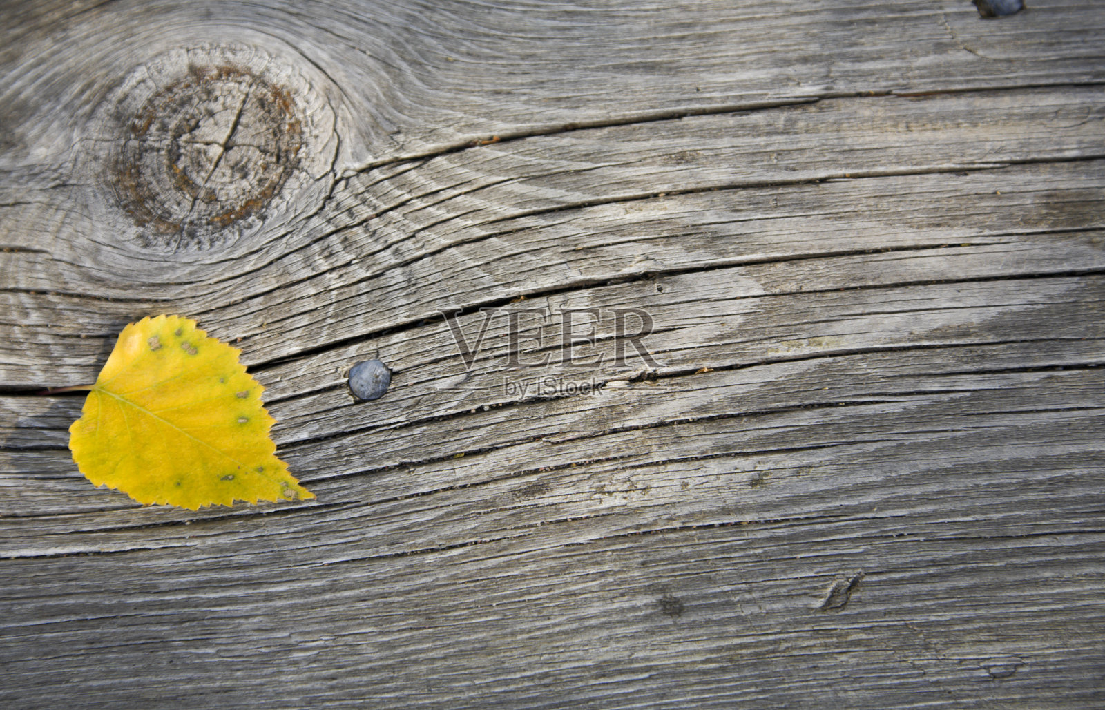 枯黄的秋叶落在老木头上。照片摄影图片