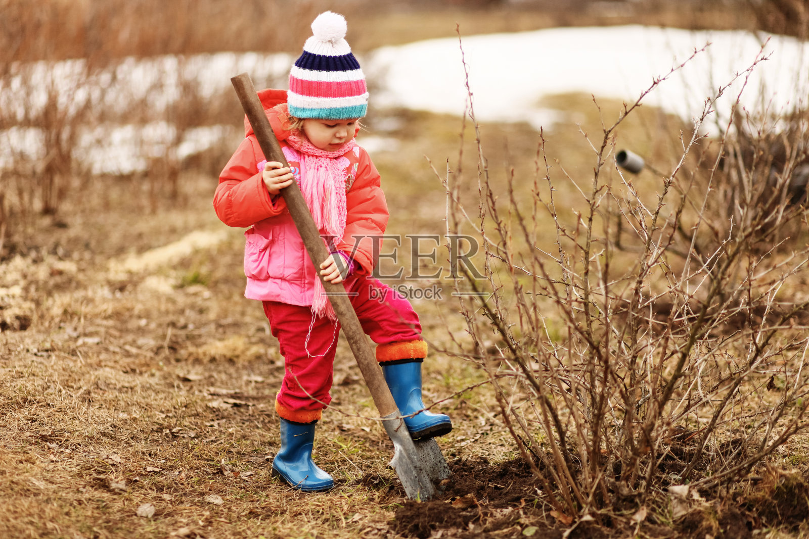 花园里的孩子。照片摄影图片