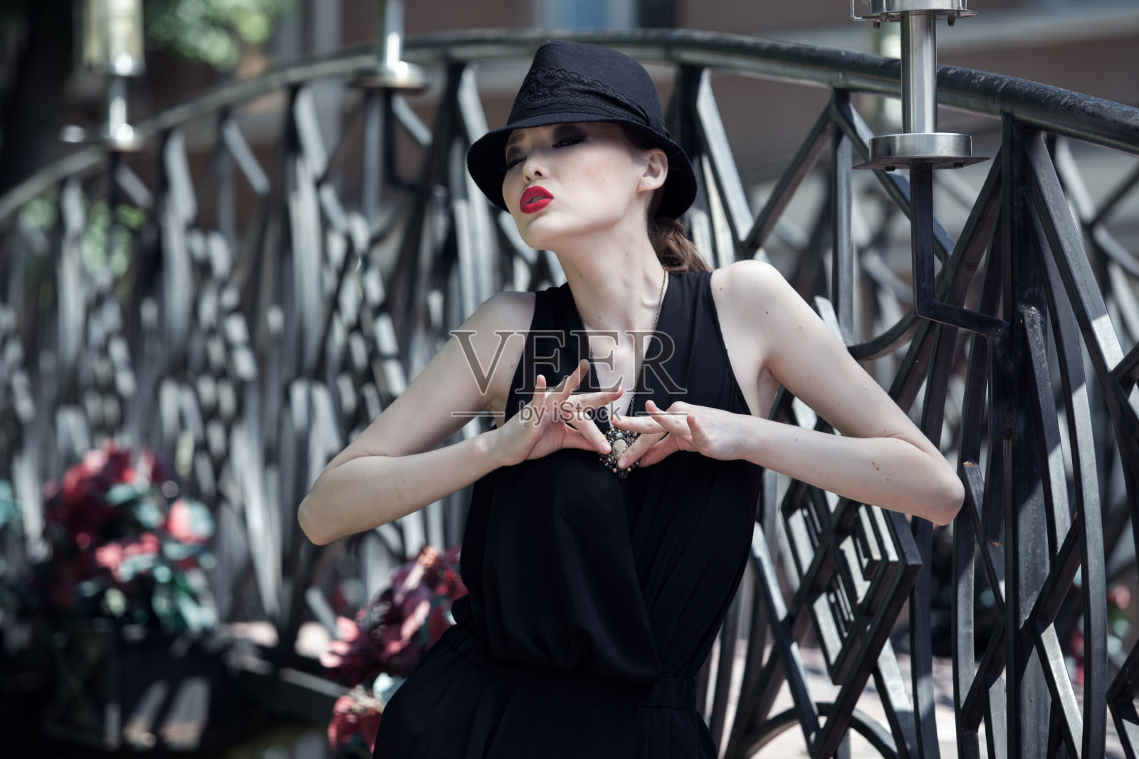 迷人的亚洲和金属桥照片摄影图片