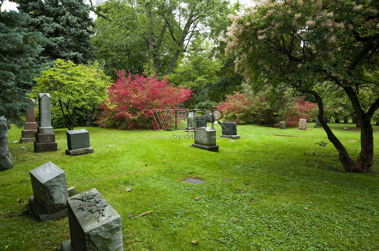 墓园秋色照片摄影图片