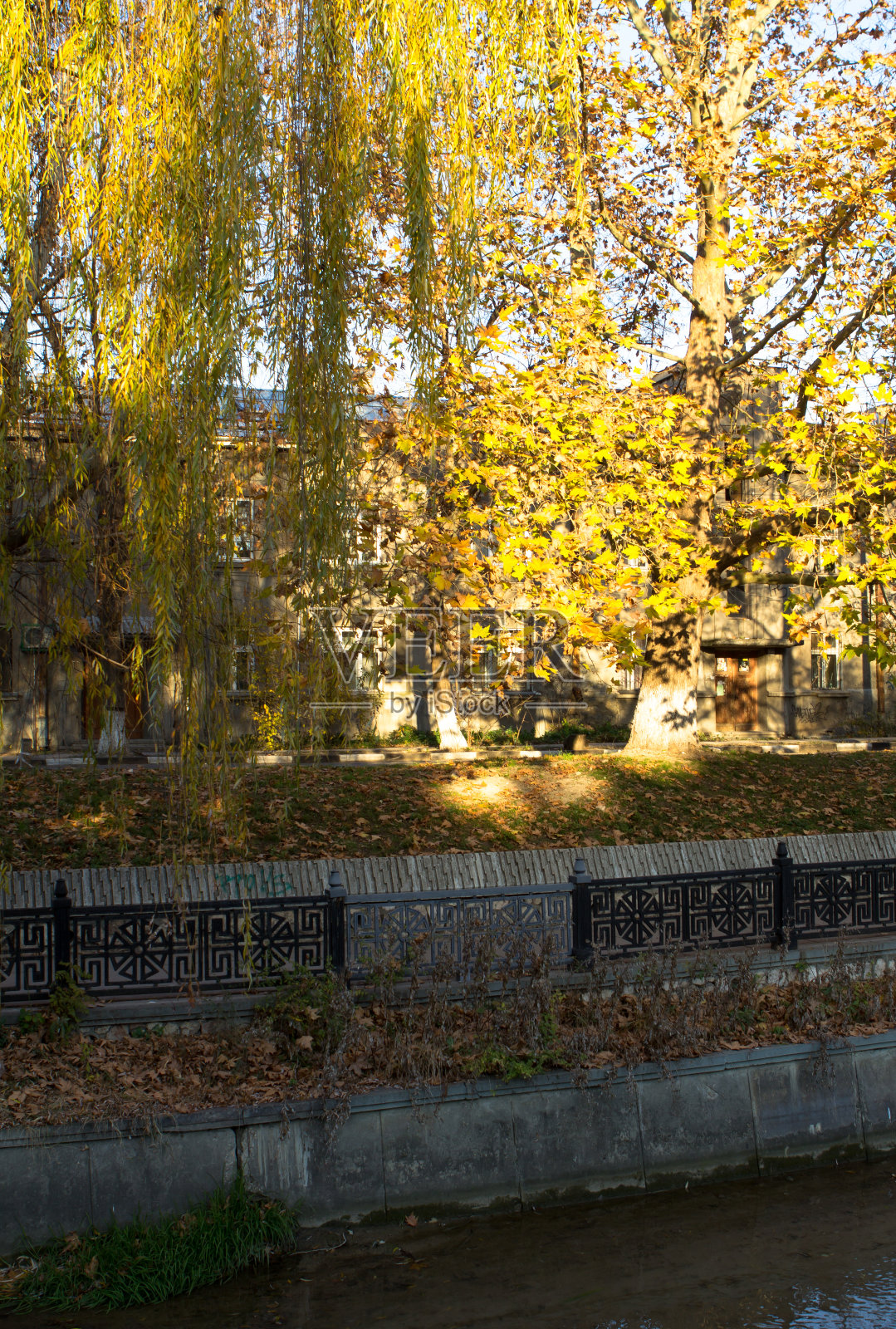 秋天的落叶照片摄影图片