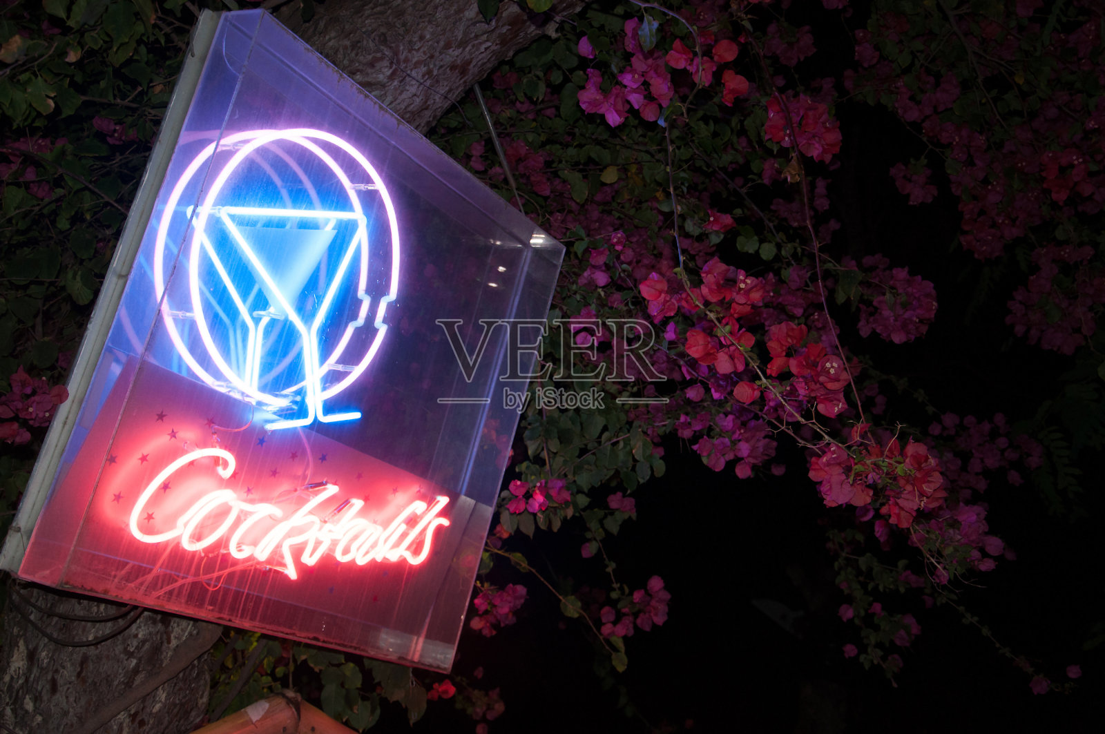 霓虹灯的鸡尾酒照片摄影图片