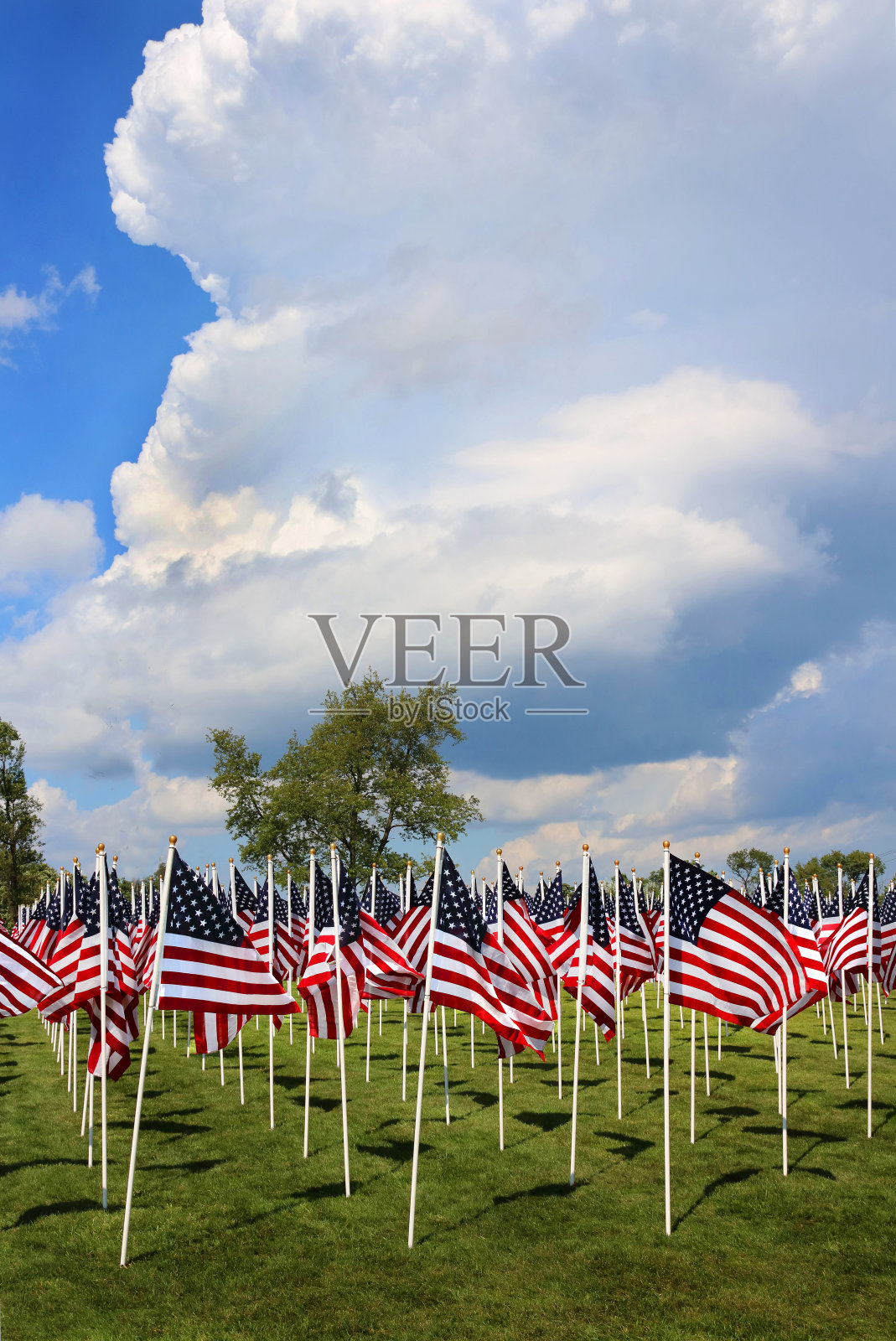 领域的旗帜照片摄影图片