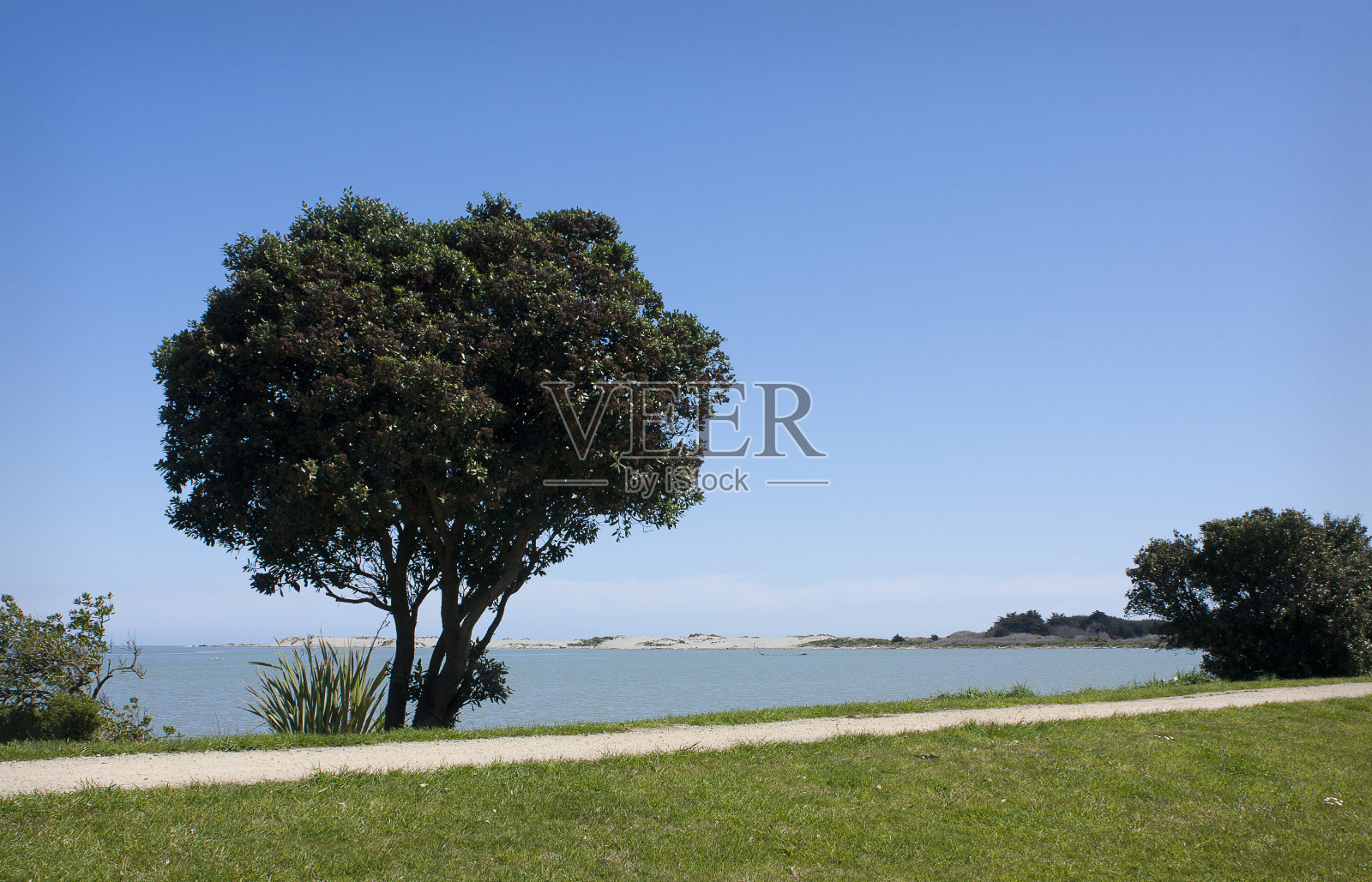 马纳瓦图河口,福克斯顿海滩照片摄影图片