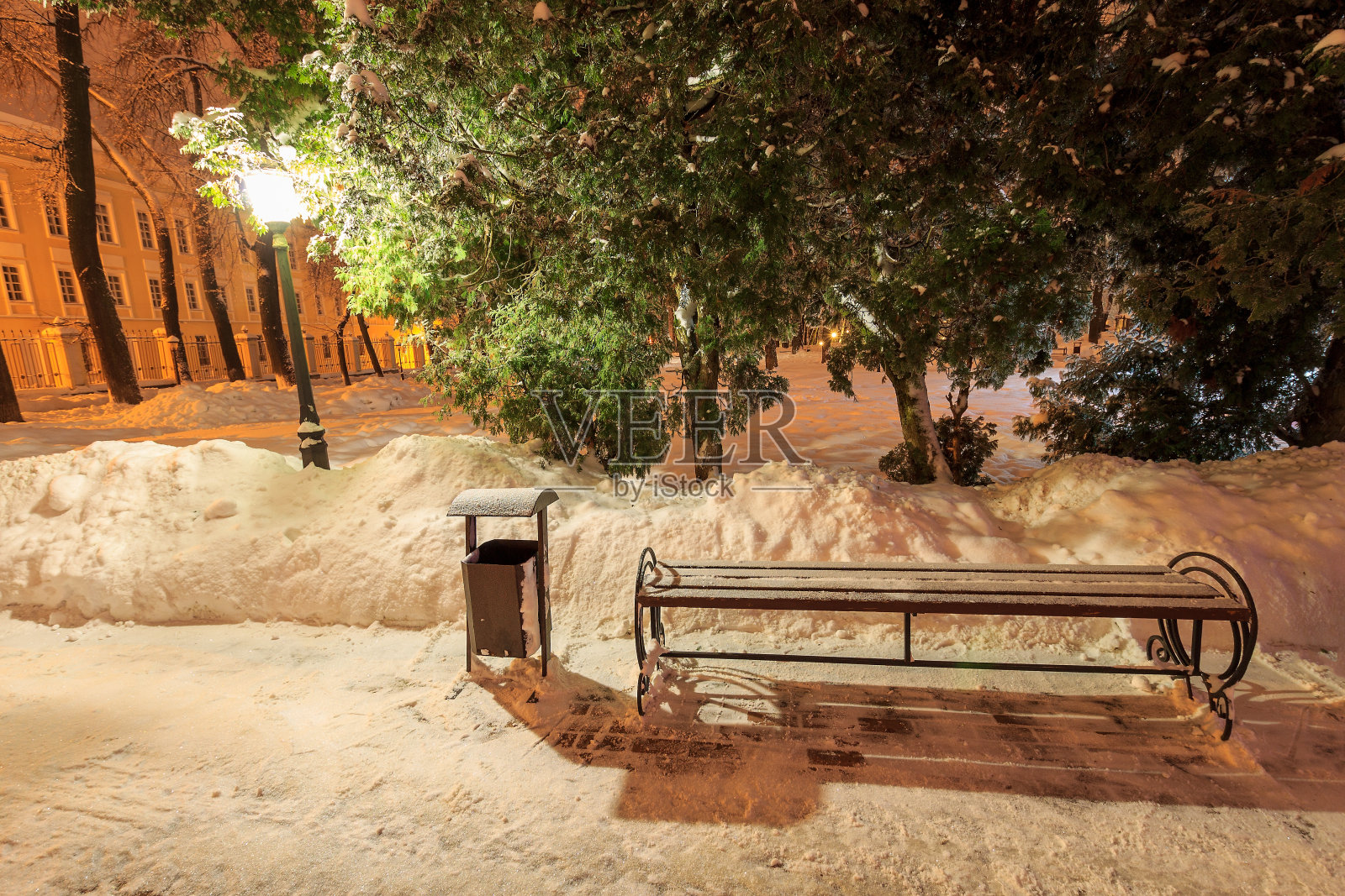 冬季公园的夜晚照片摄影图片