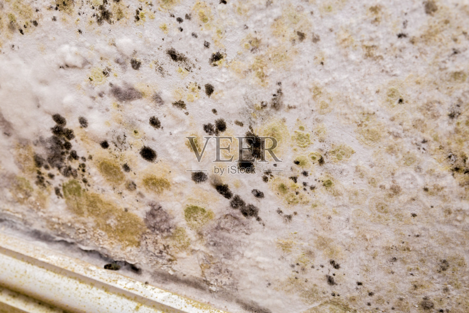 发霉的墙壁照片摄影图片