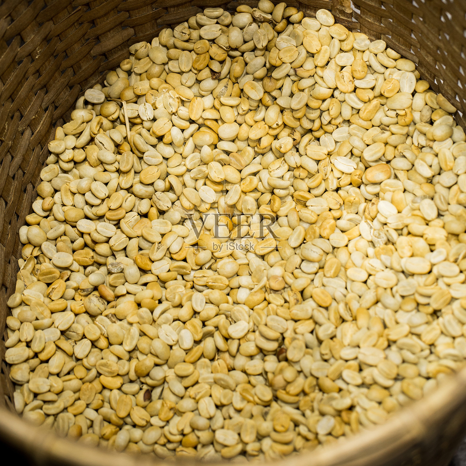 绿色咖啡豆照片摄影图片