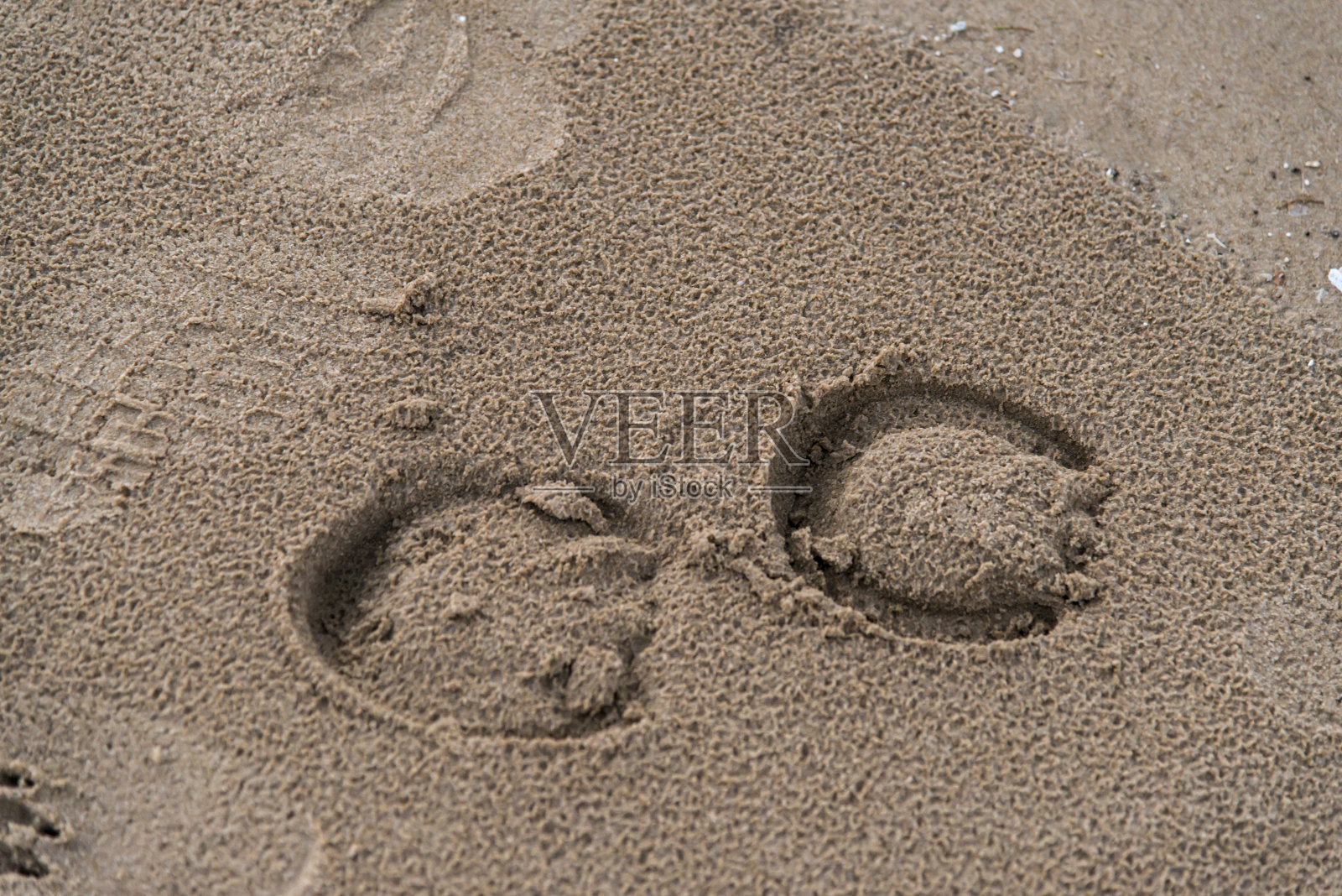 湿沙上的马蹄印照片摄影图片