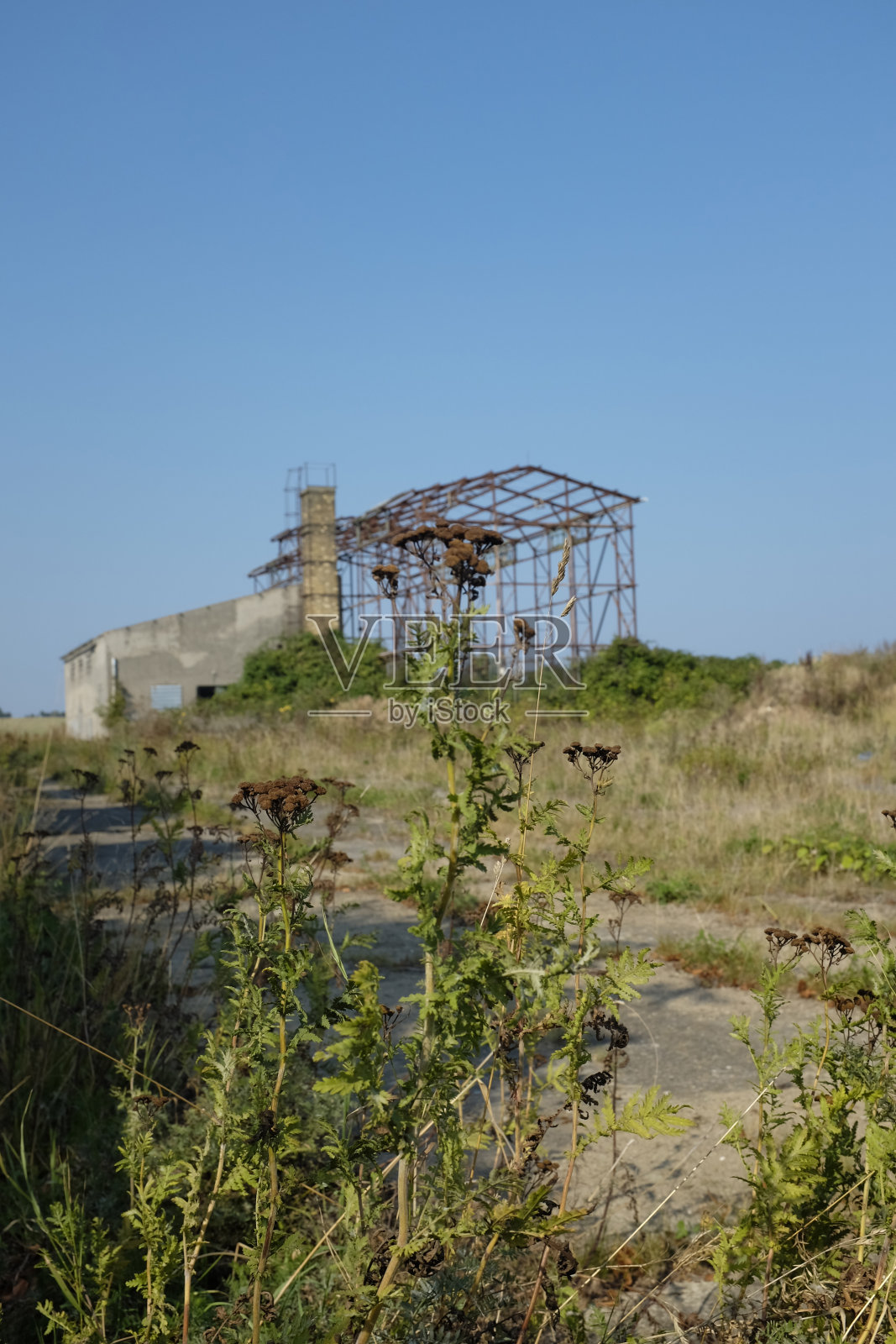 布卢姆照片摄影图片