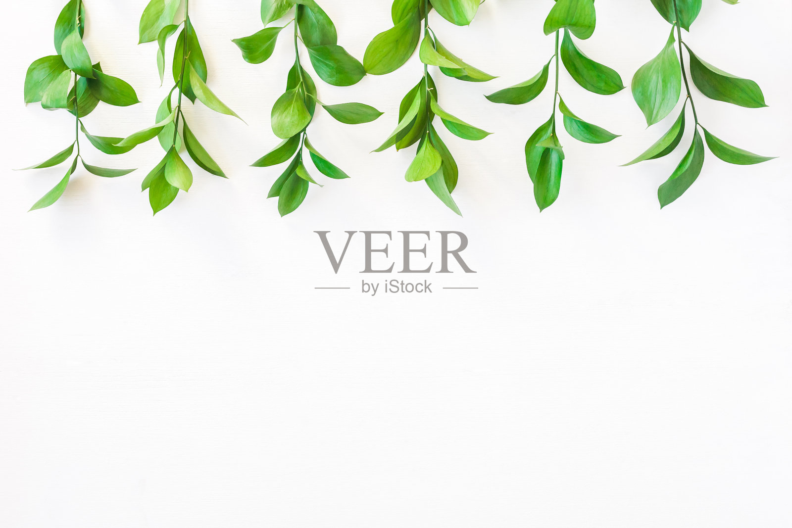 用绿叶做成的边框。平躺,俯视图照片摄影图片