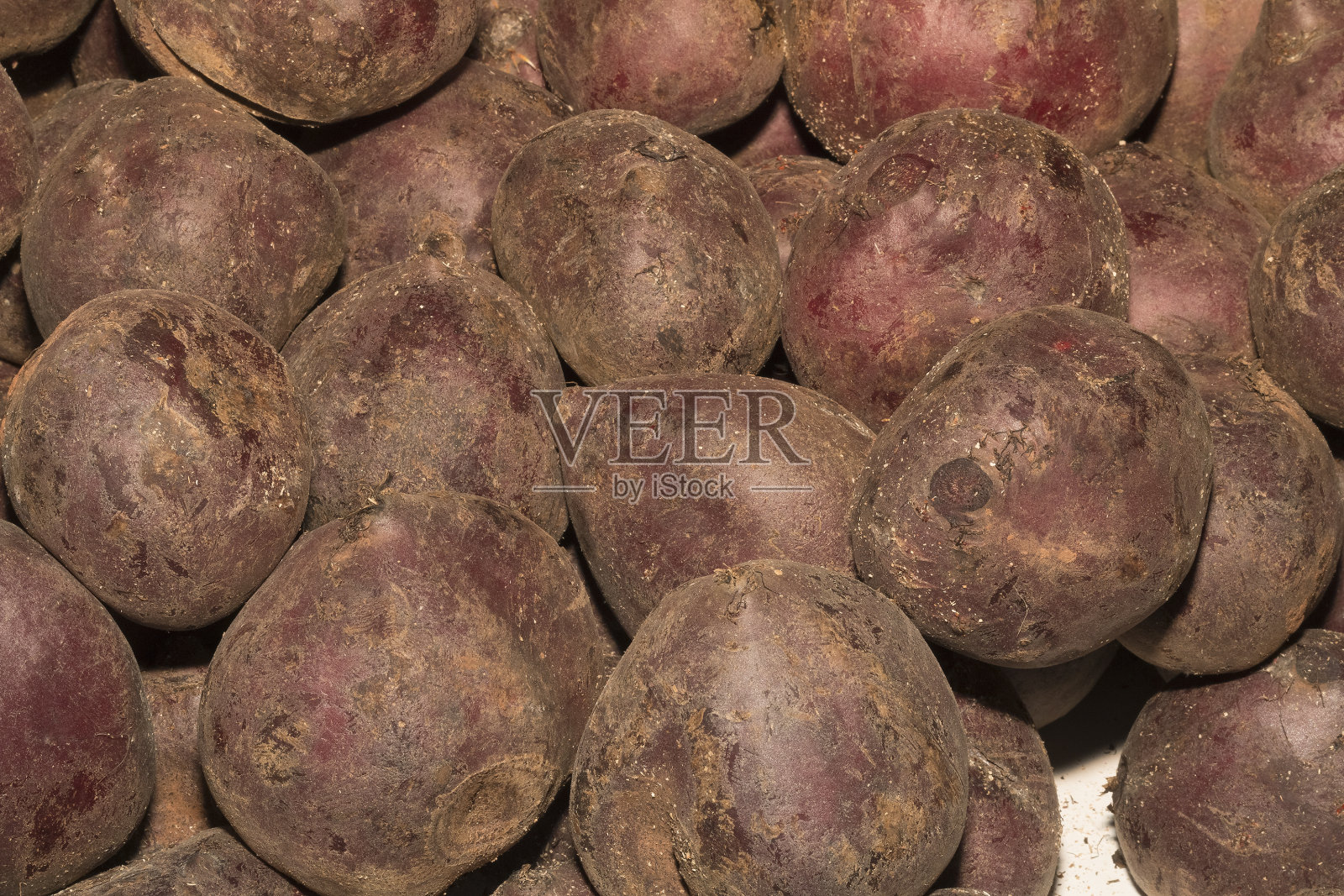 甜菜照片摄影图片