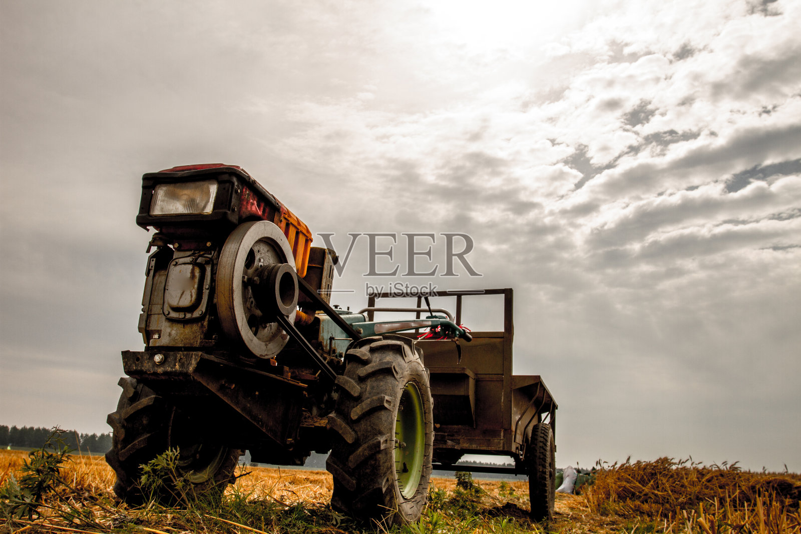 在野外收获小麦照片摄影图片