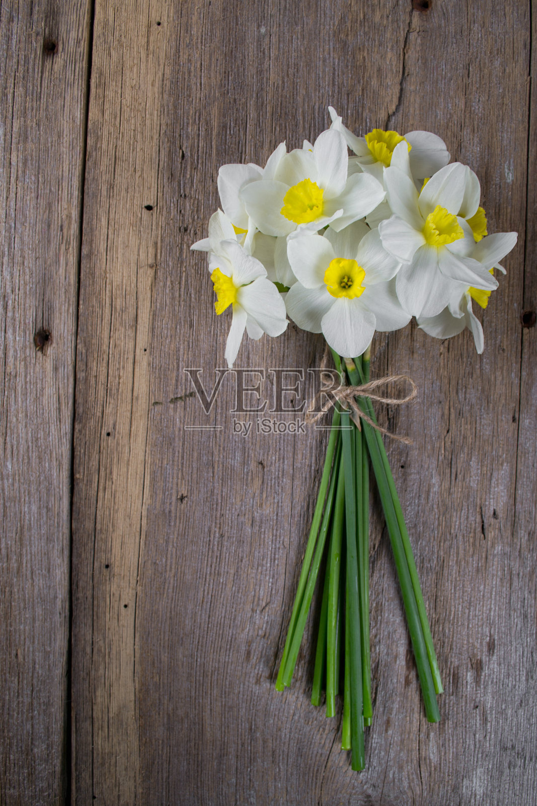 背景与白色水仙花在乡村木制照片摄影图片