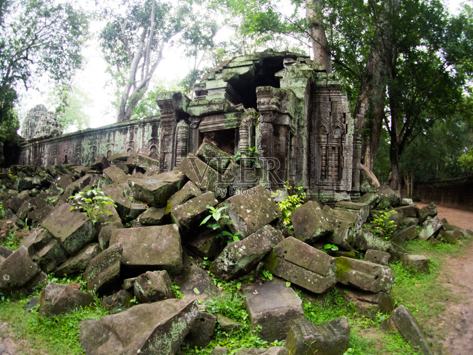 Ta Prohm城堡,柬埔寨吴哥窟。照片摄影图片