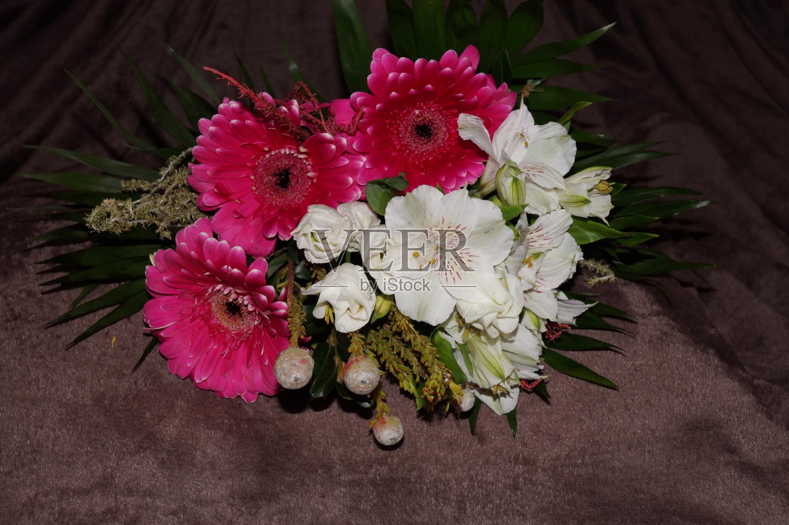 非洲菊和黄花菊的芳香照片摄影图片