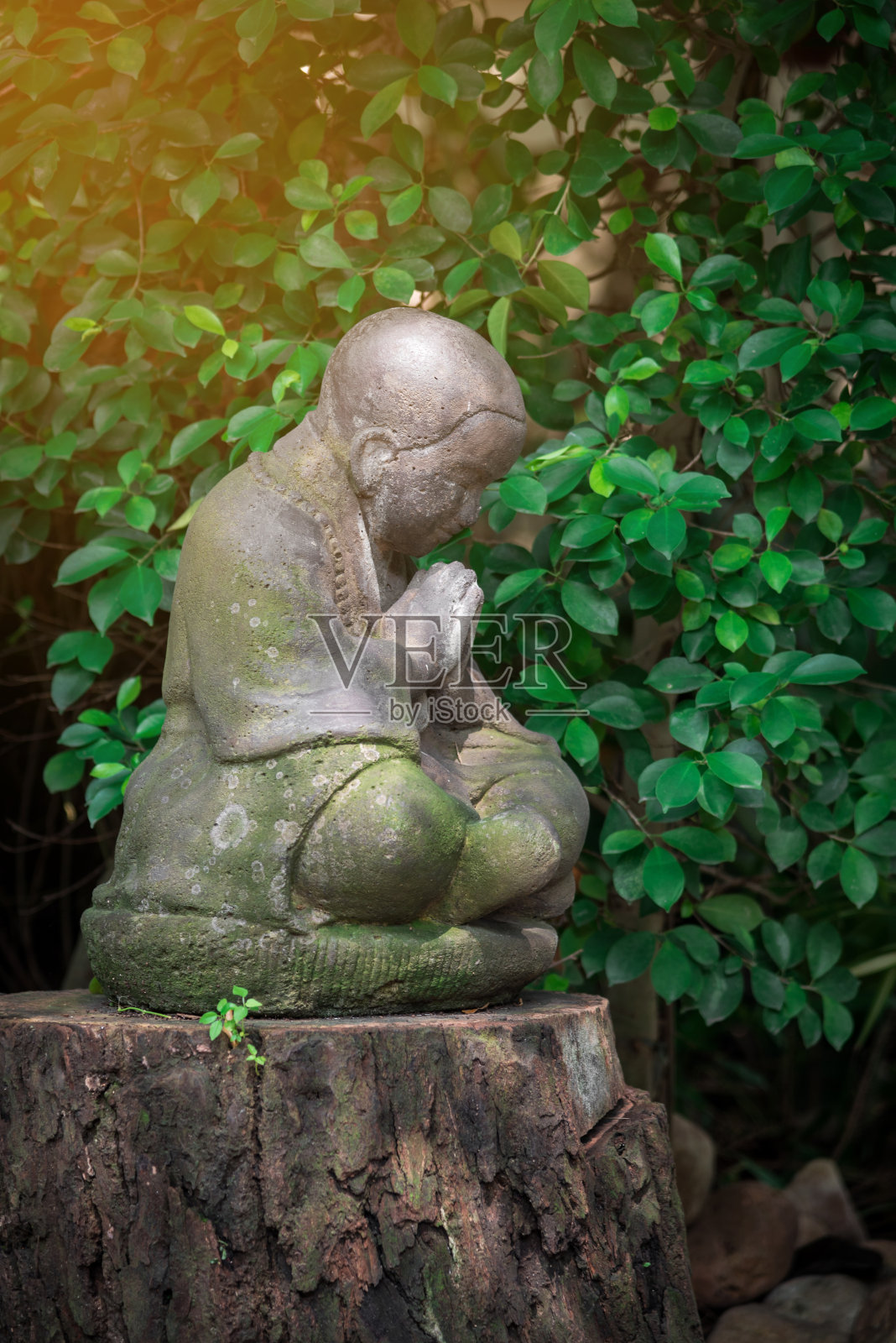 佛像照片摄影图片