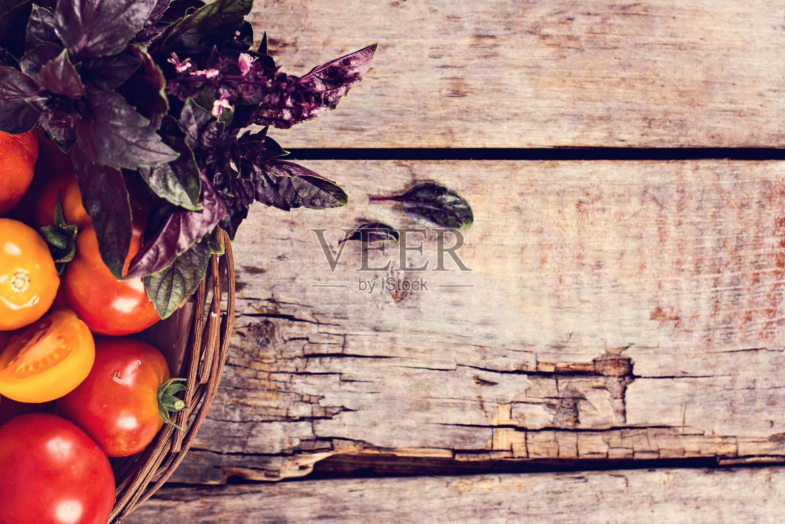 新鲜的西红柿和紫色的罗勒照片摄影图片