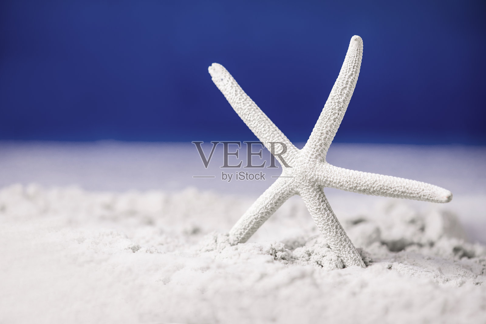 夏季促销、打折、促销概念装饰照片摄影图片